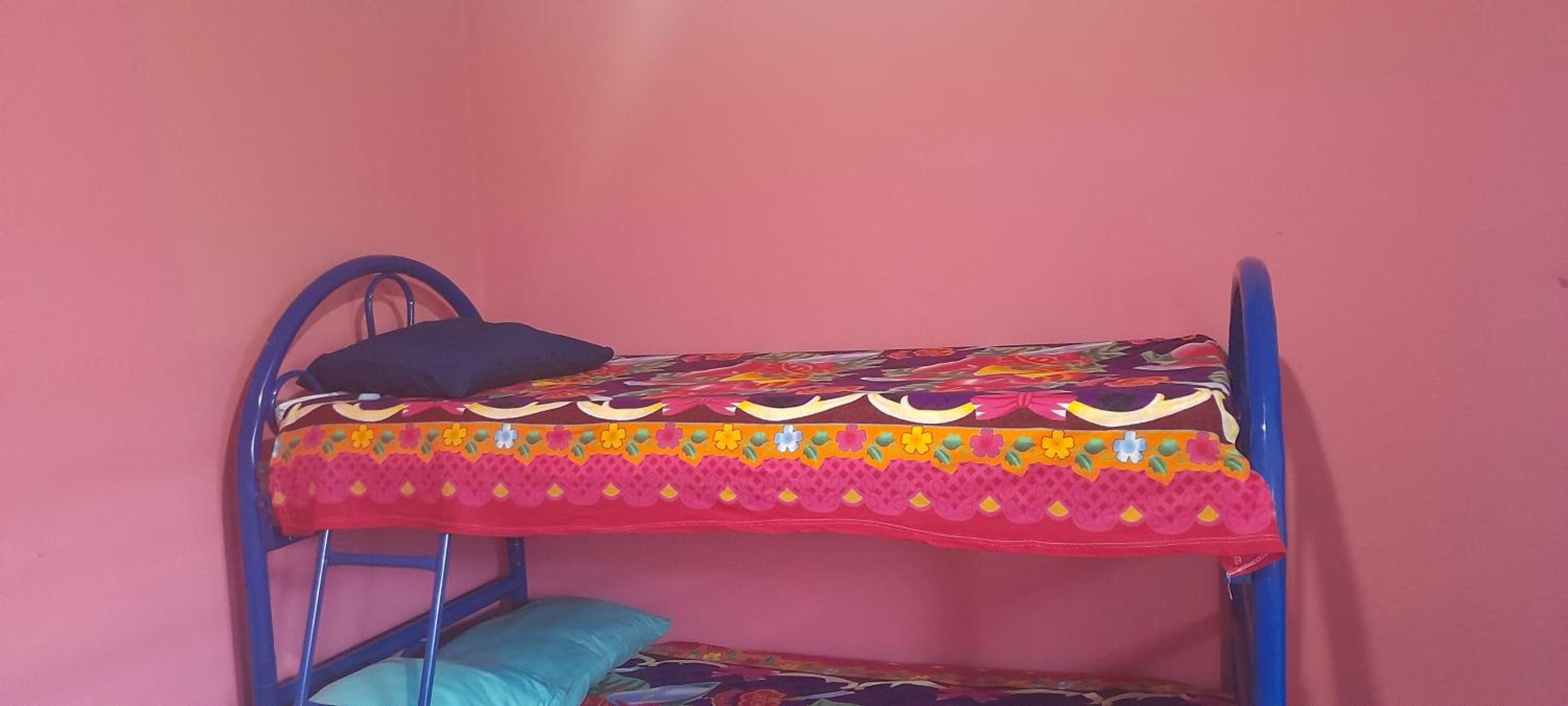 Bunk Bed In Mixed Dormitory Room photo 3