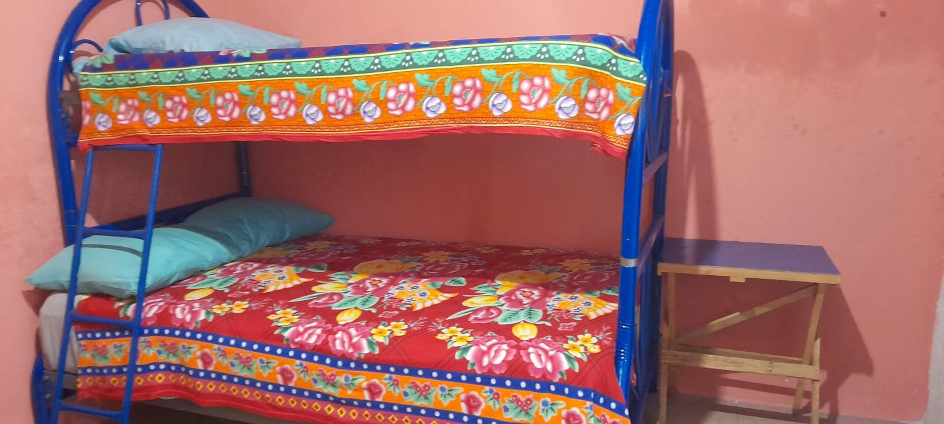 Bunk Bed In Mixed Dormitory Room photo 2