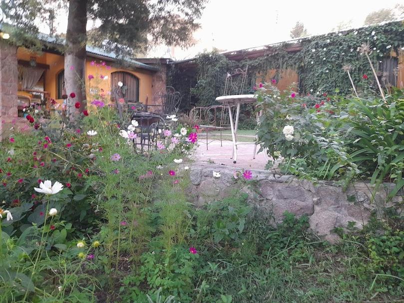 Bungalow with Garden View
