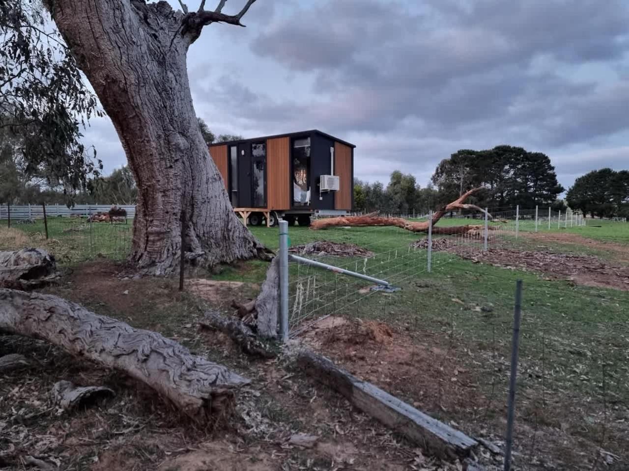 Mobile Home photo 2