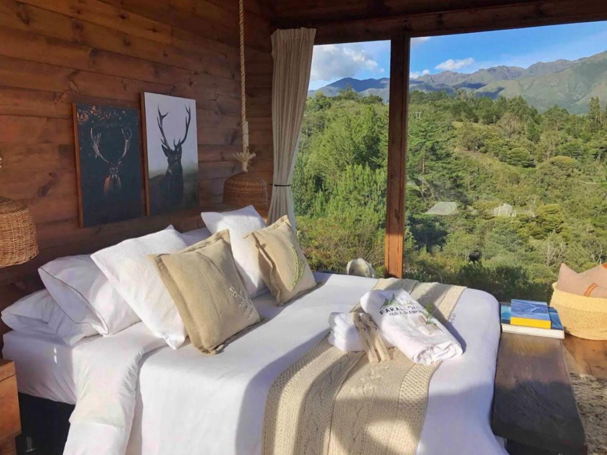 Double Room With Mountain View photo 1