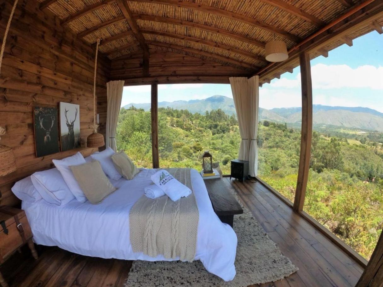 Double Room With Mountain View photo 3