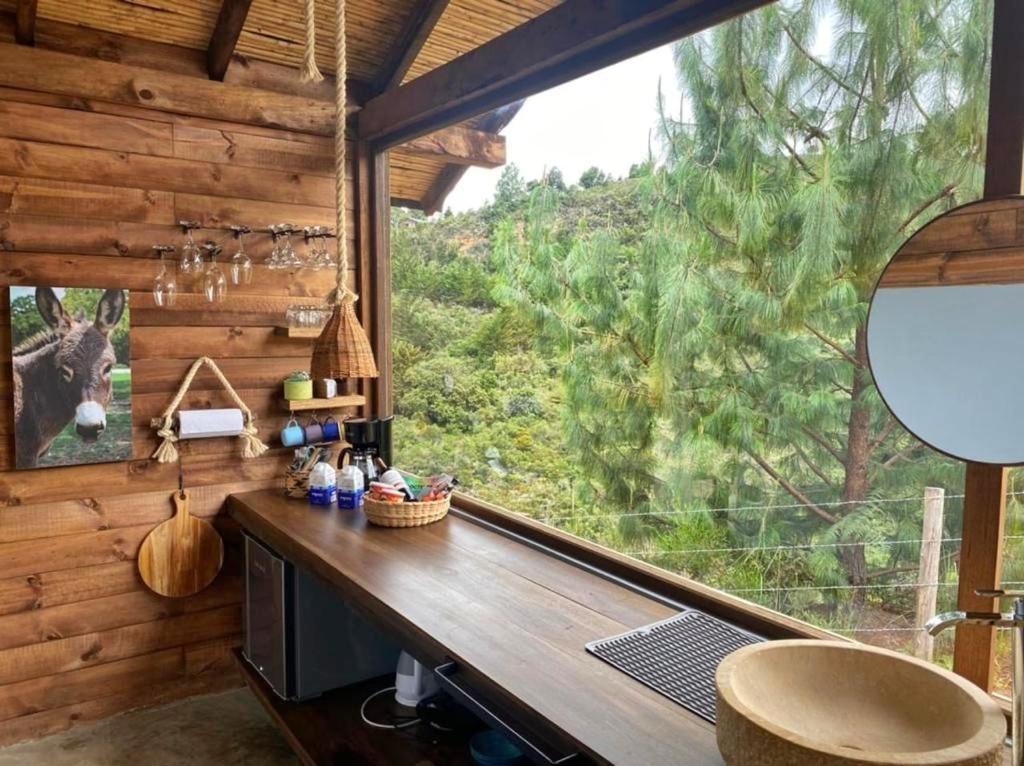 Double Room With Mountain View photo 2