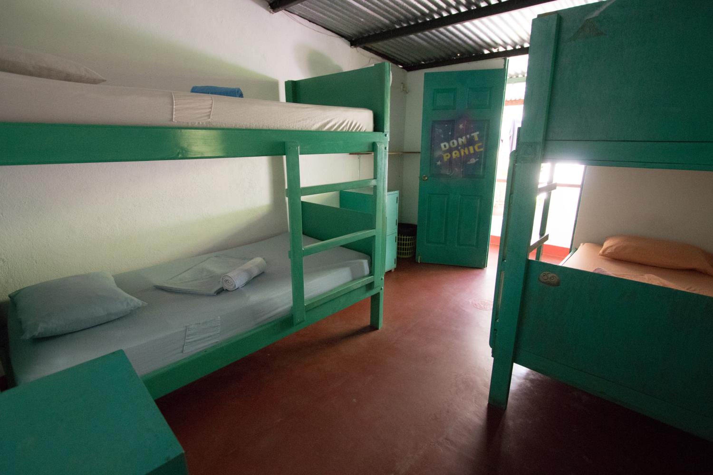 Bed in 4-Bed Mixed Dormitory Room photo 1