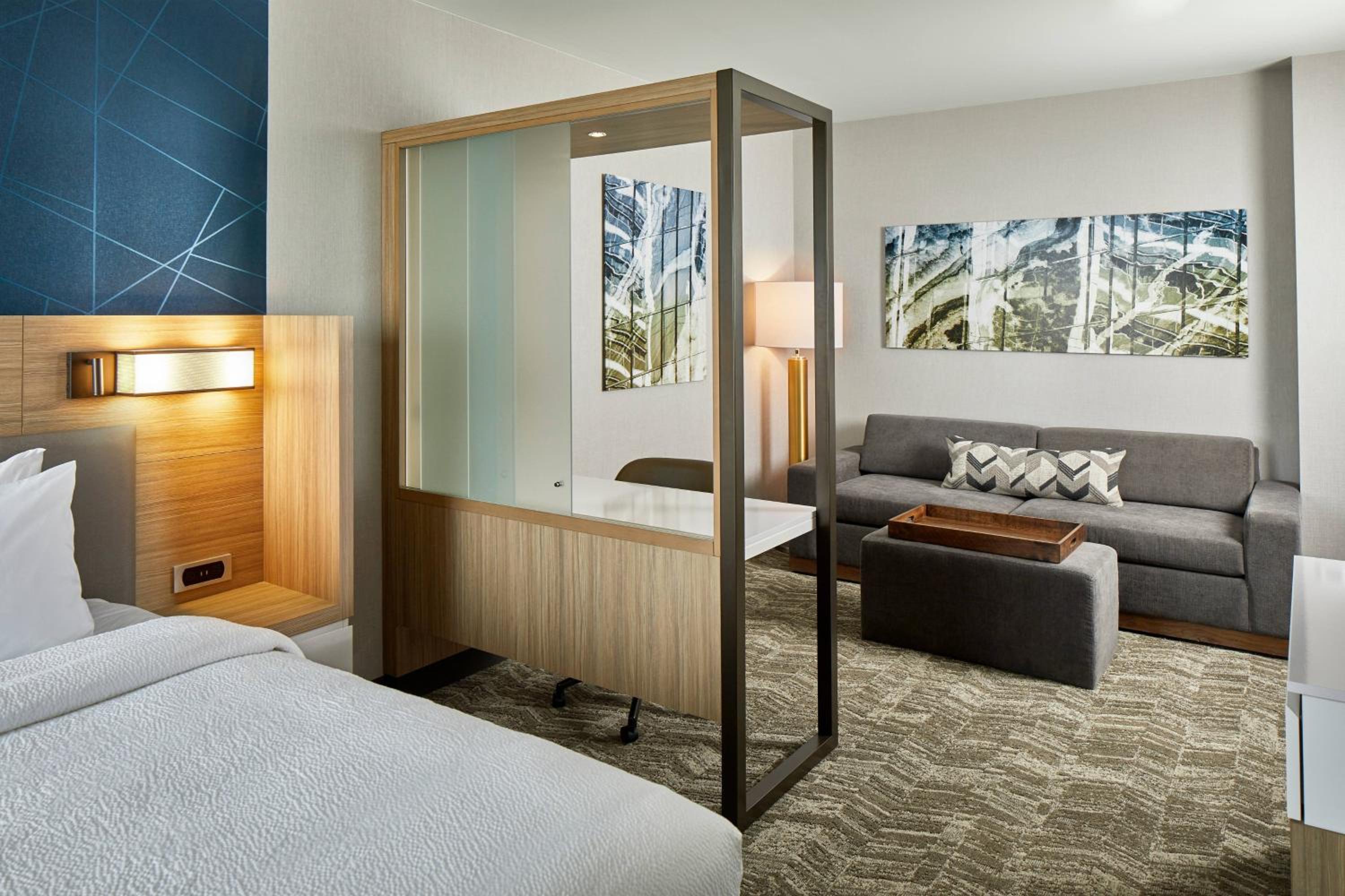King Suite with Sofa Bed - Photo 4