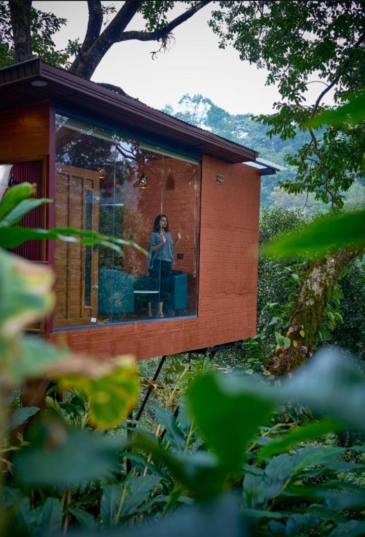 LUXURY TREE HOUSE - Photo 10