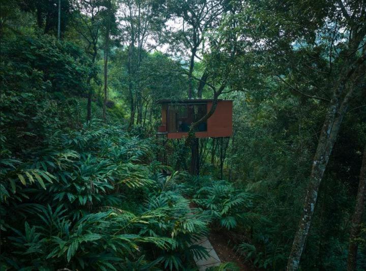 LUXURY TREE HOUSE - Photo 9