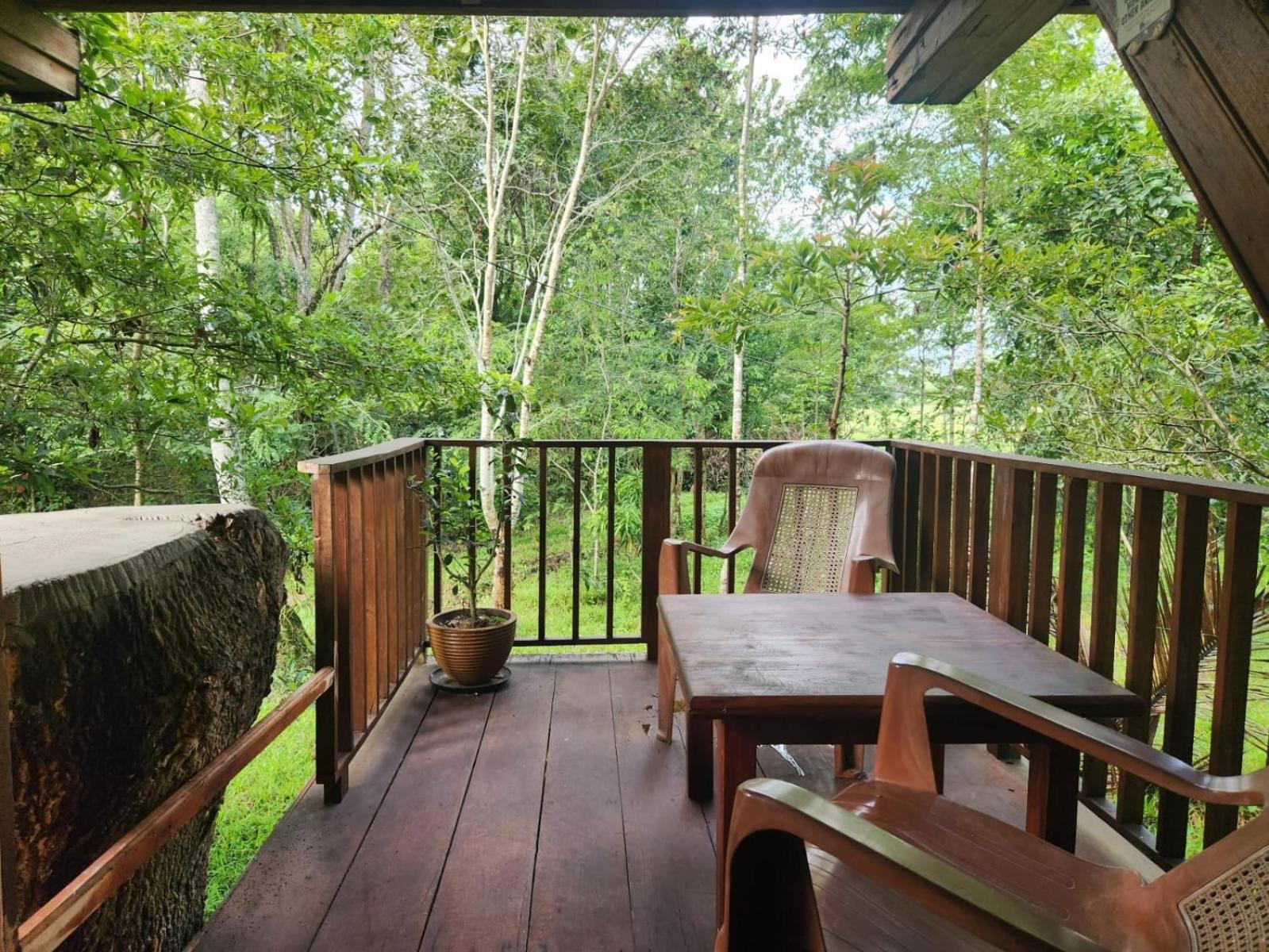 Double Room with Garden View photo 3