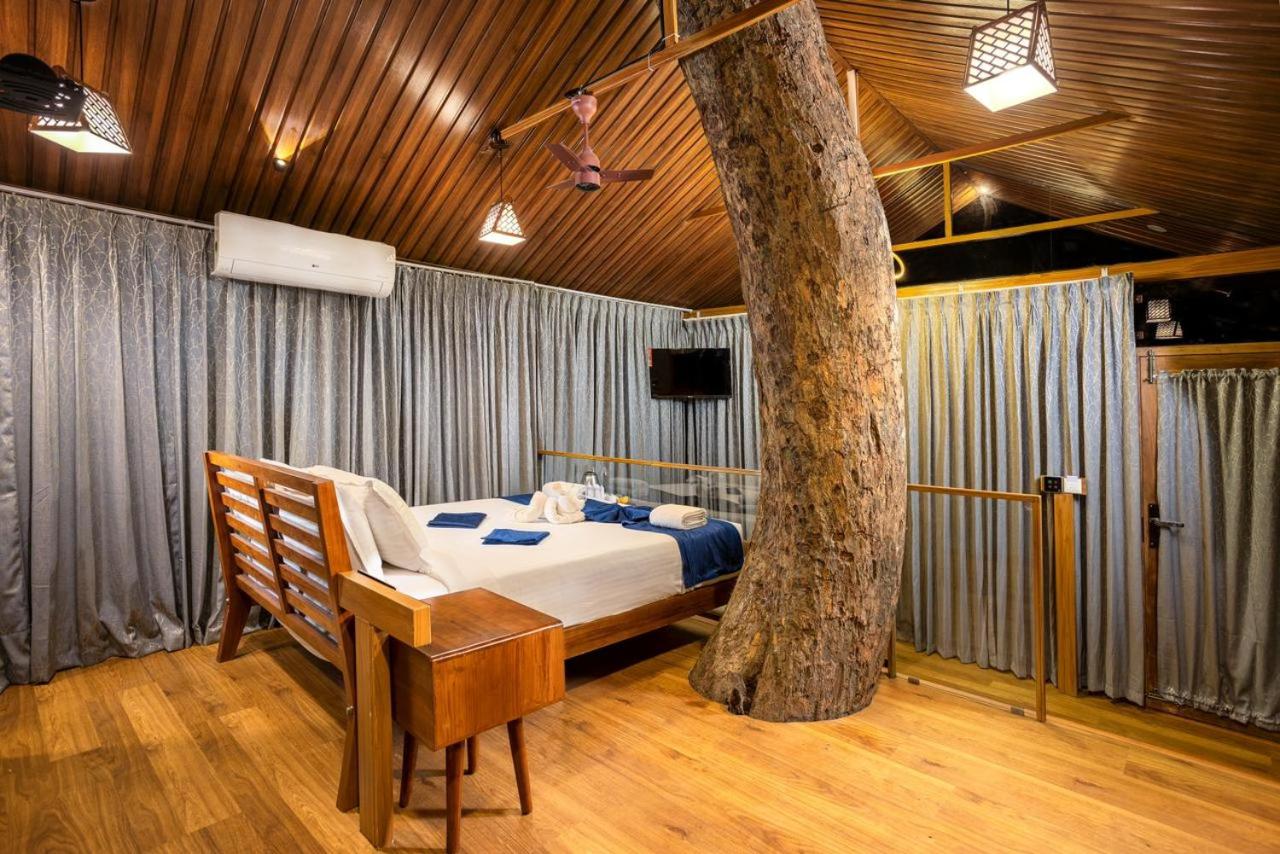 LUXURY TREE HOUSE - Photo 4