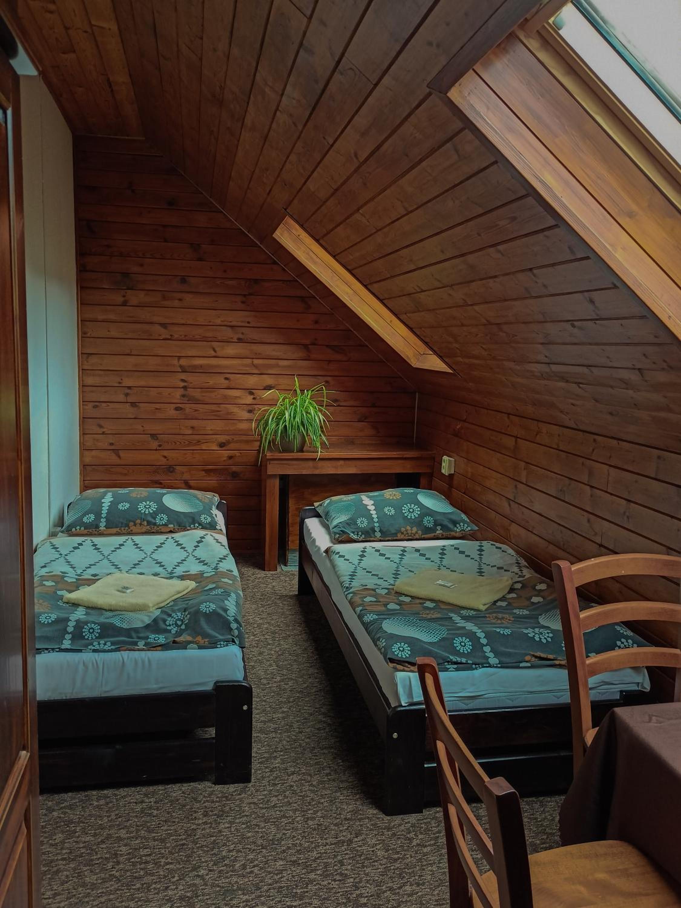 Family Suite photo 1