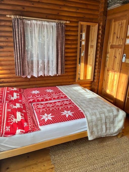 One-Bedroom House photo 1