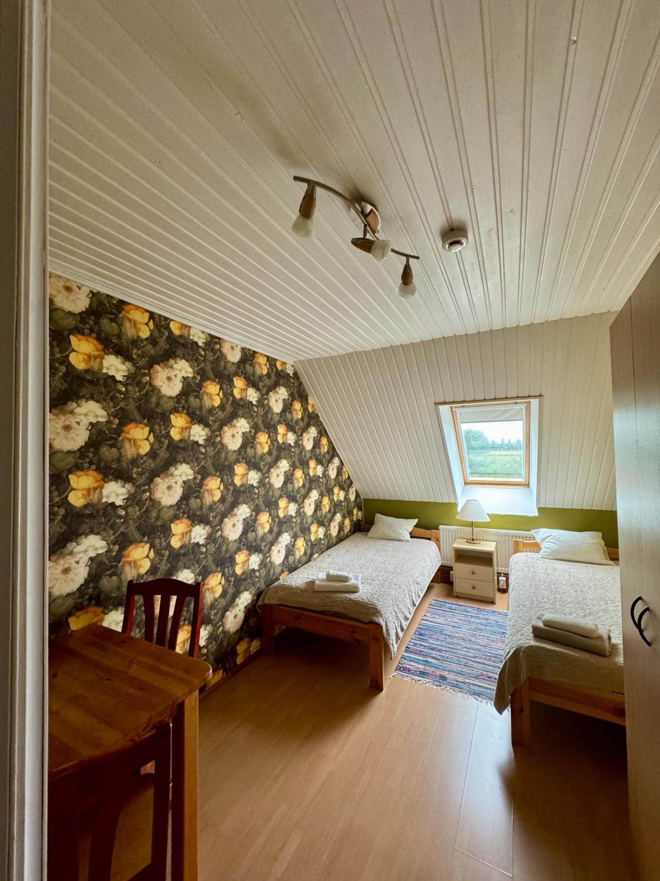 Twin Room photo 2