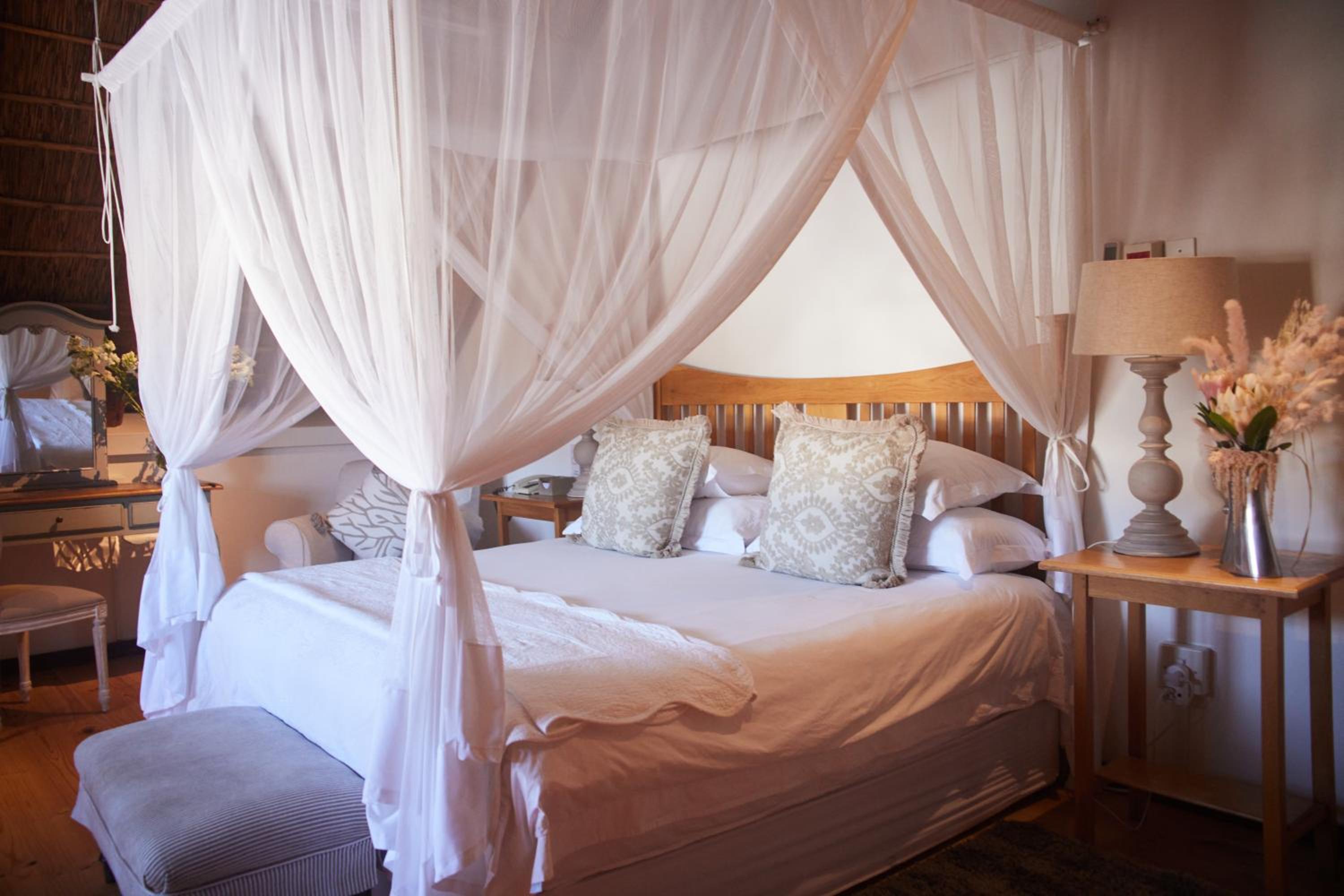 Suite photo 1