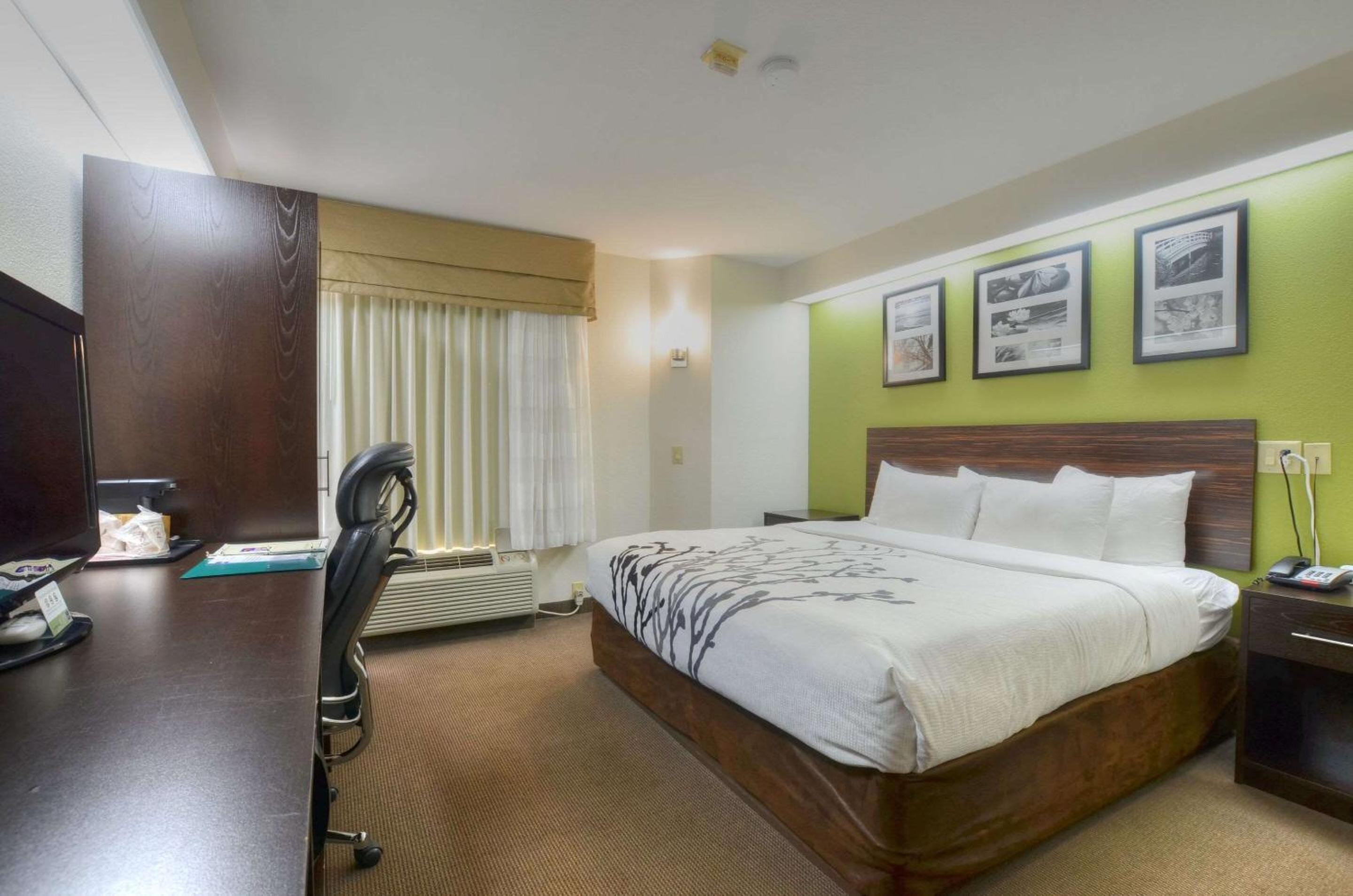 King Room - Photo 3