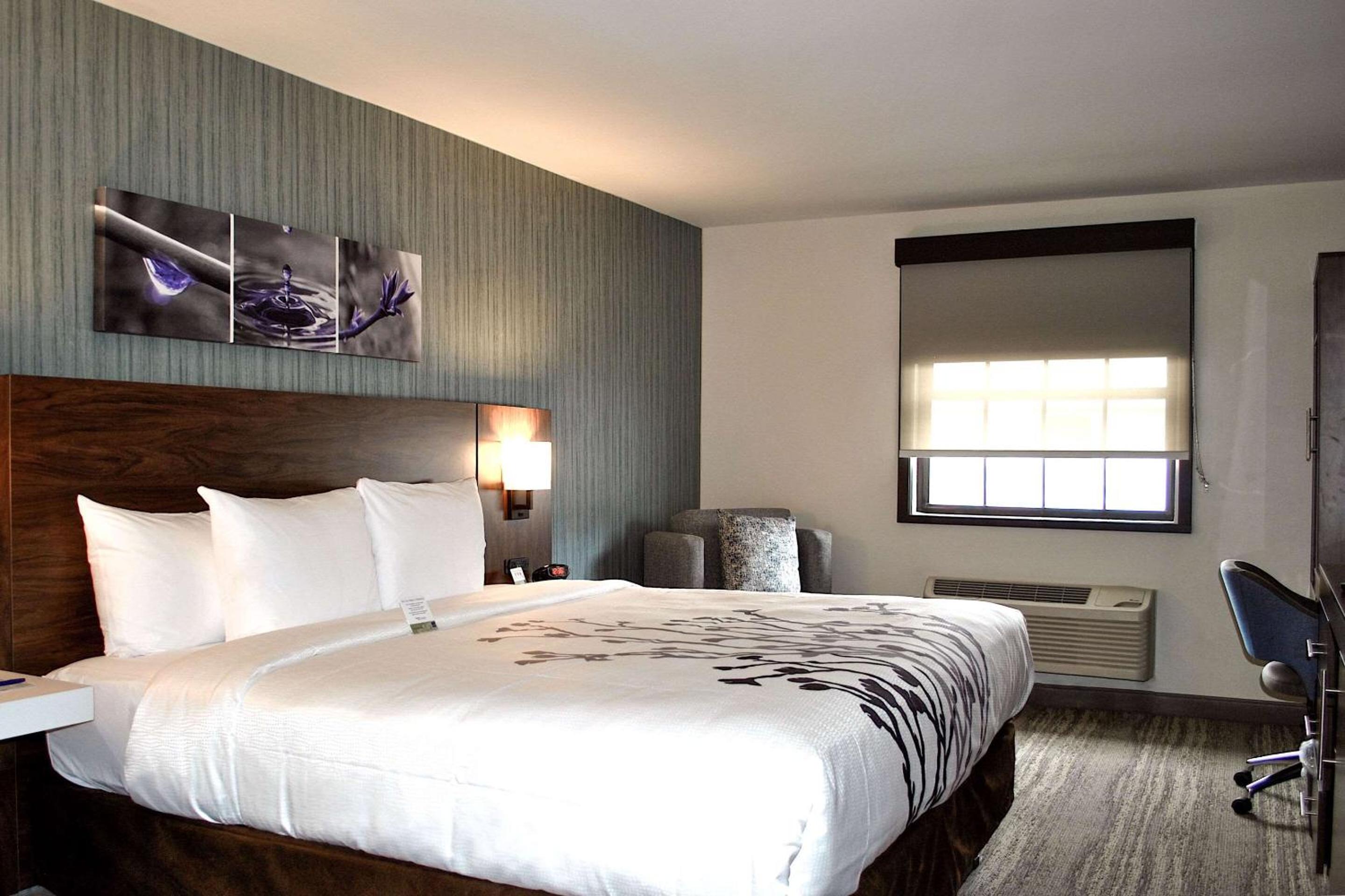 Standard King Room - Non-Smoking  - Photo 2