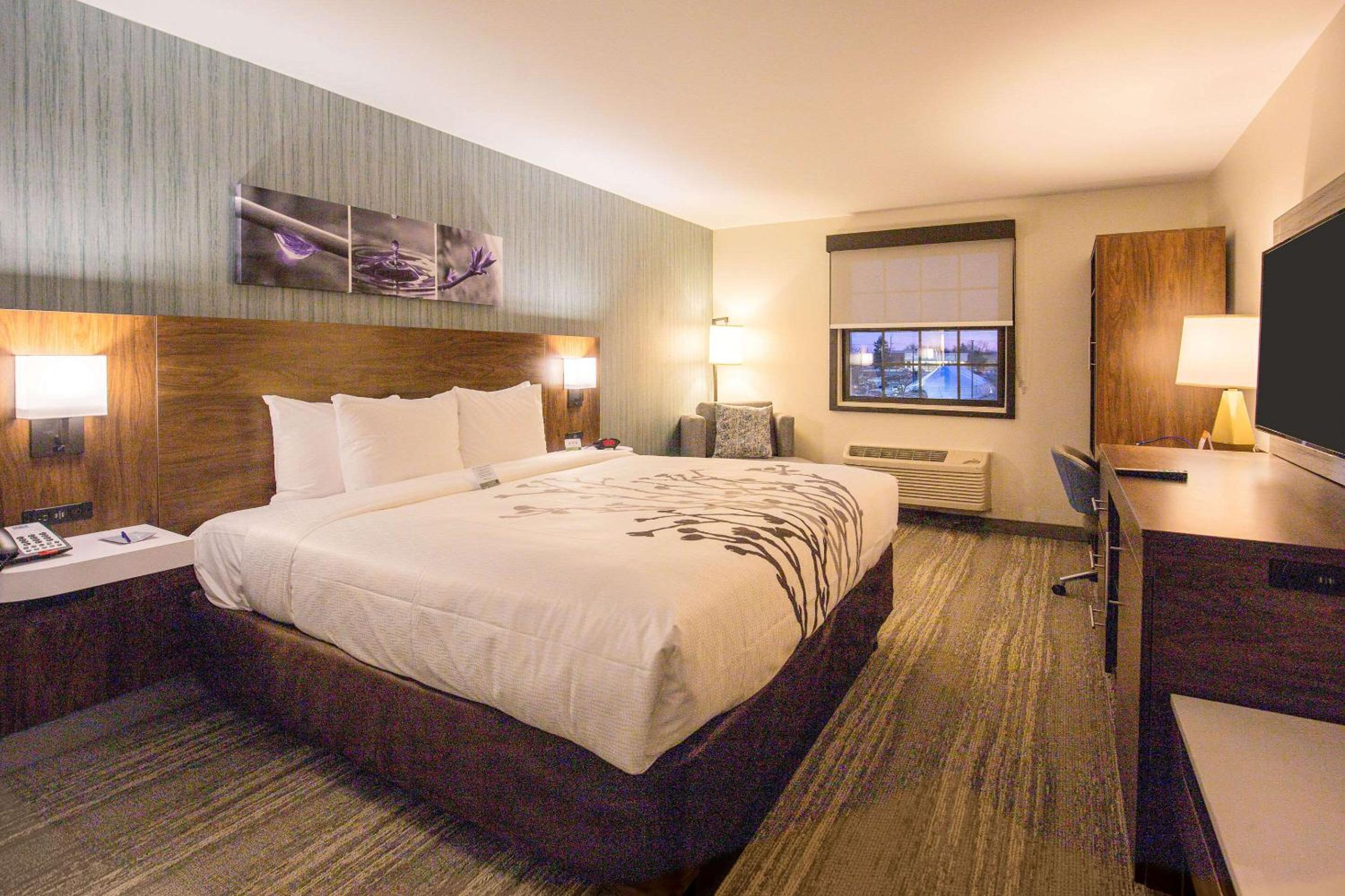 Standard King Room - Non-Smoking  - Photo 3