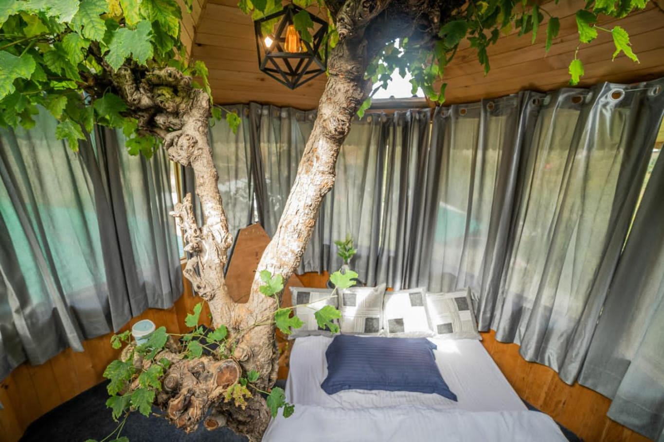 Tree House Suite