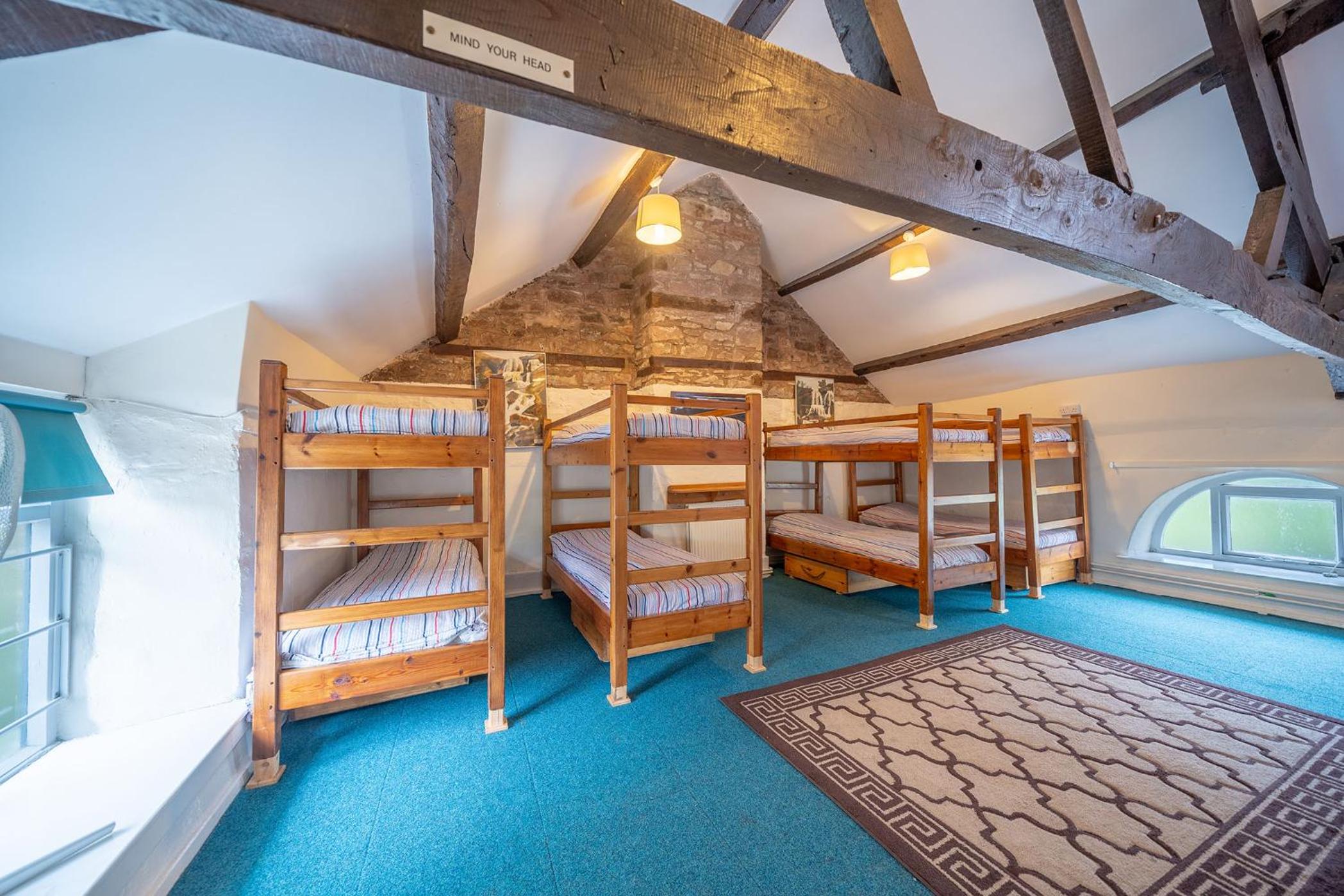 Single Bed in Mixed Dormitory Room photo 1