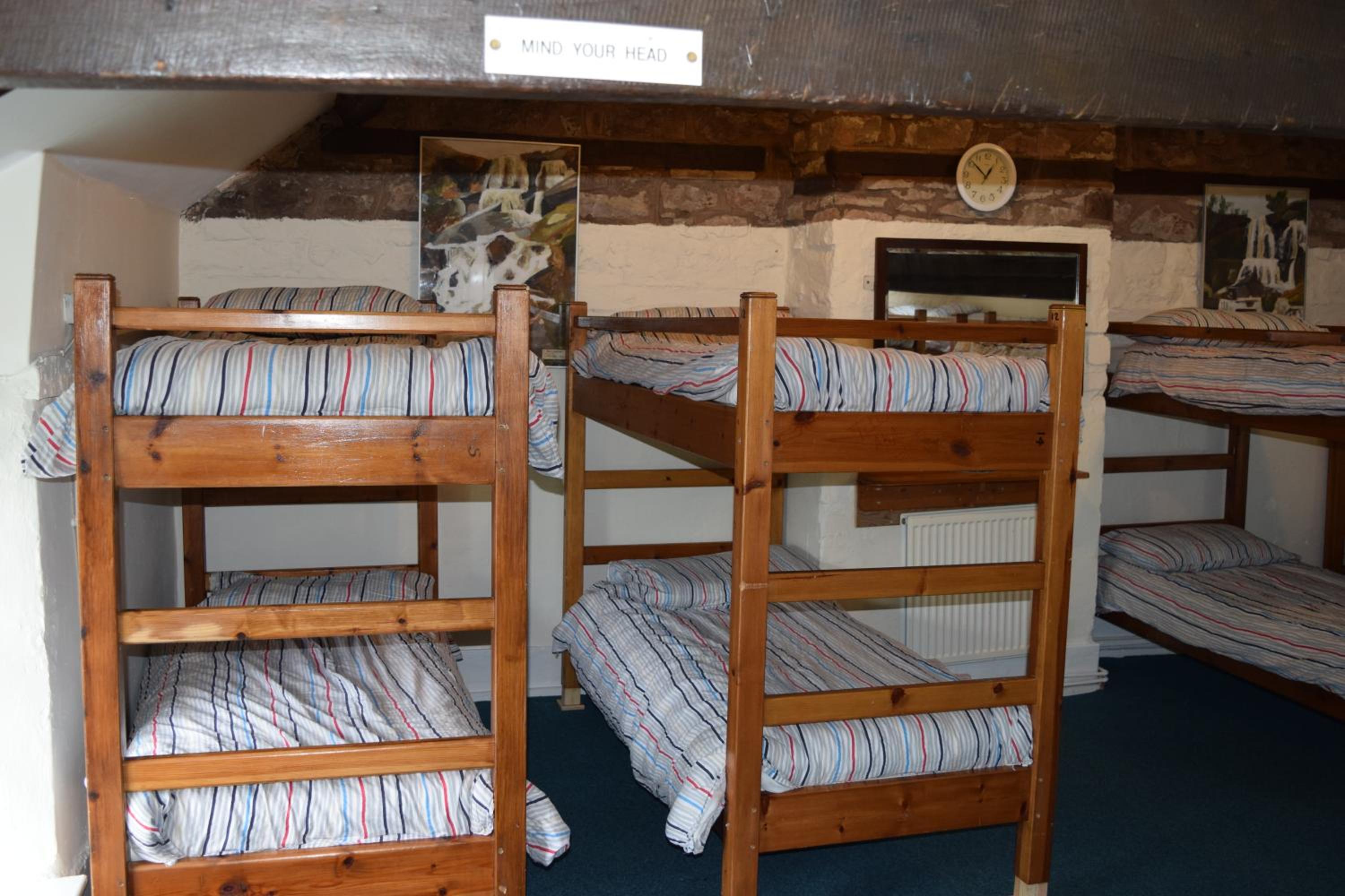 Single Bed in Mixed Dormitory Room photo 3