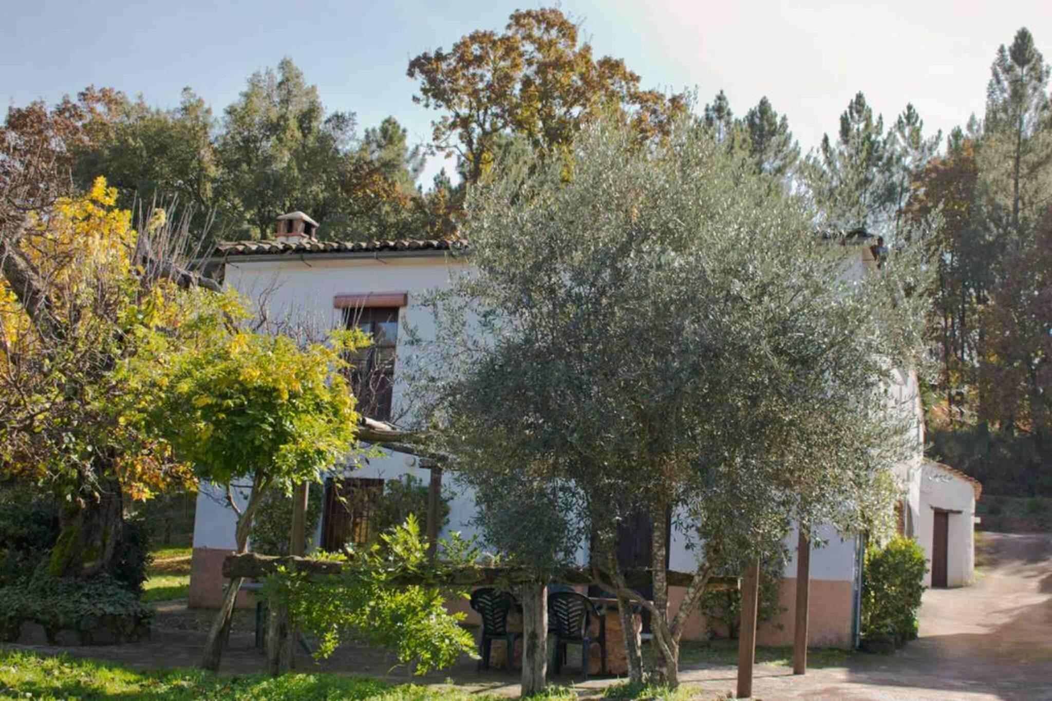 Two-Bedroom Deluxe Apartment with Balcony photo 3