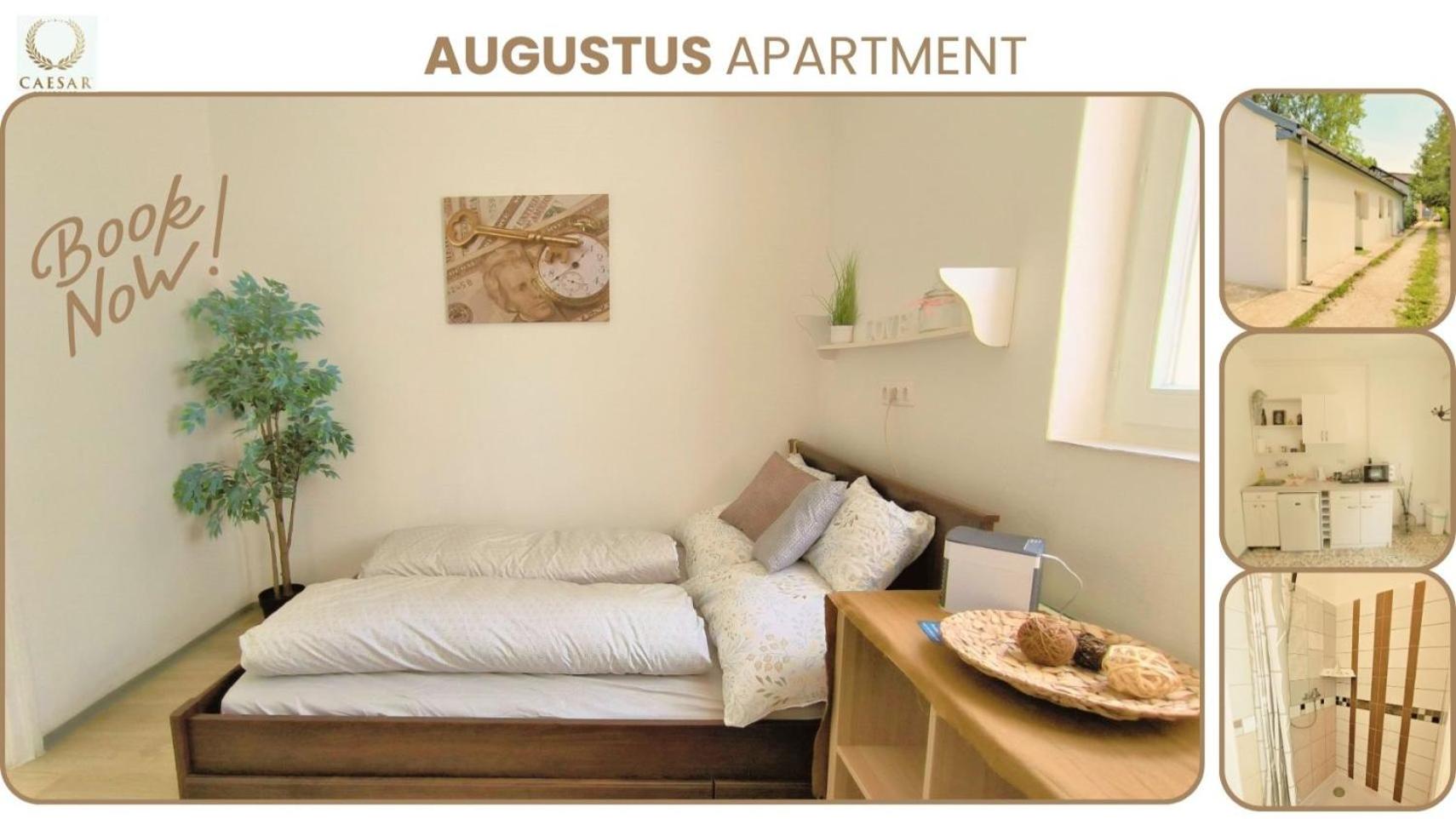 Studio Apartment - Photo 9