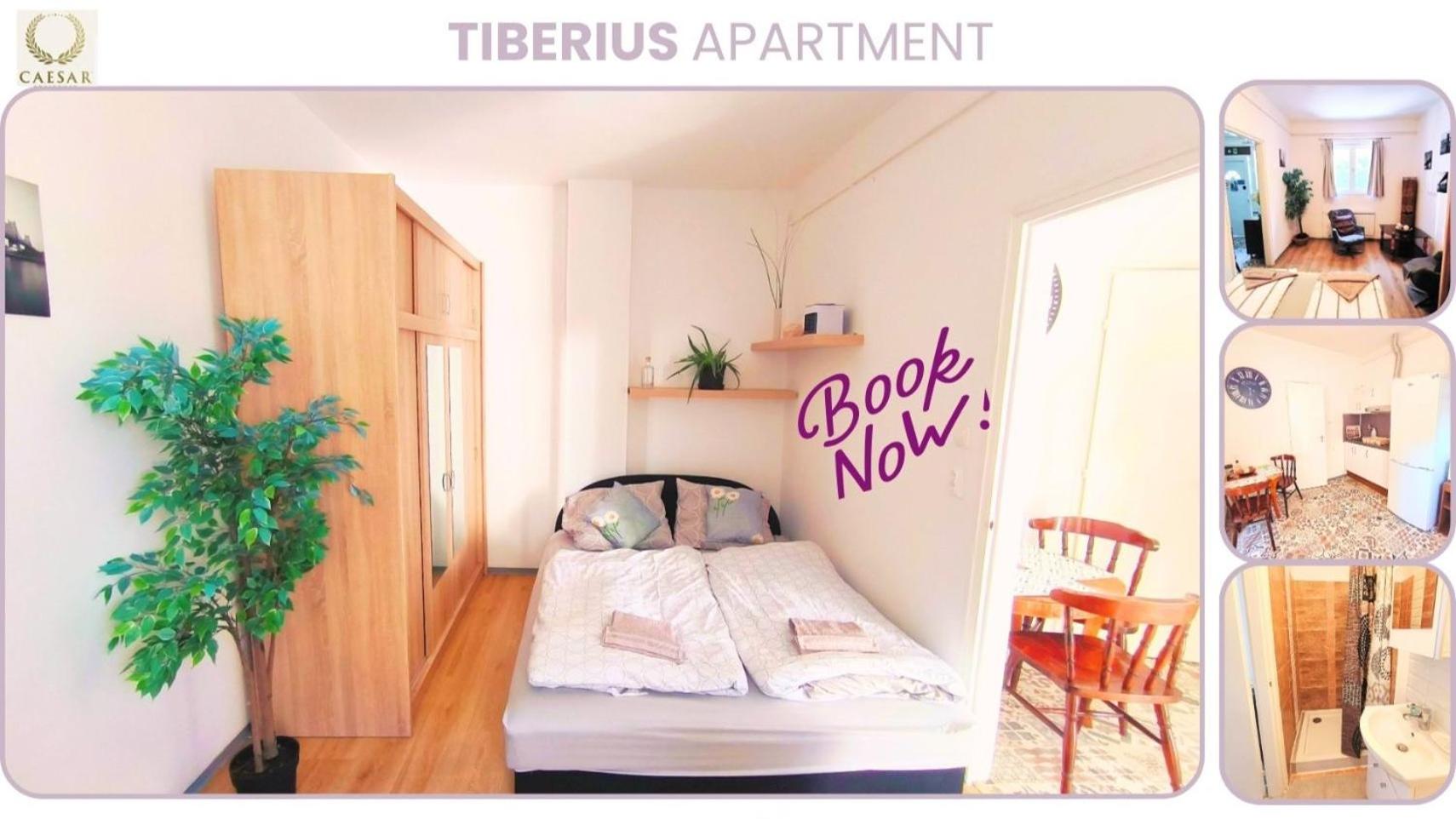 Deluxe Apartment - Photo 15