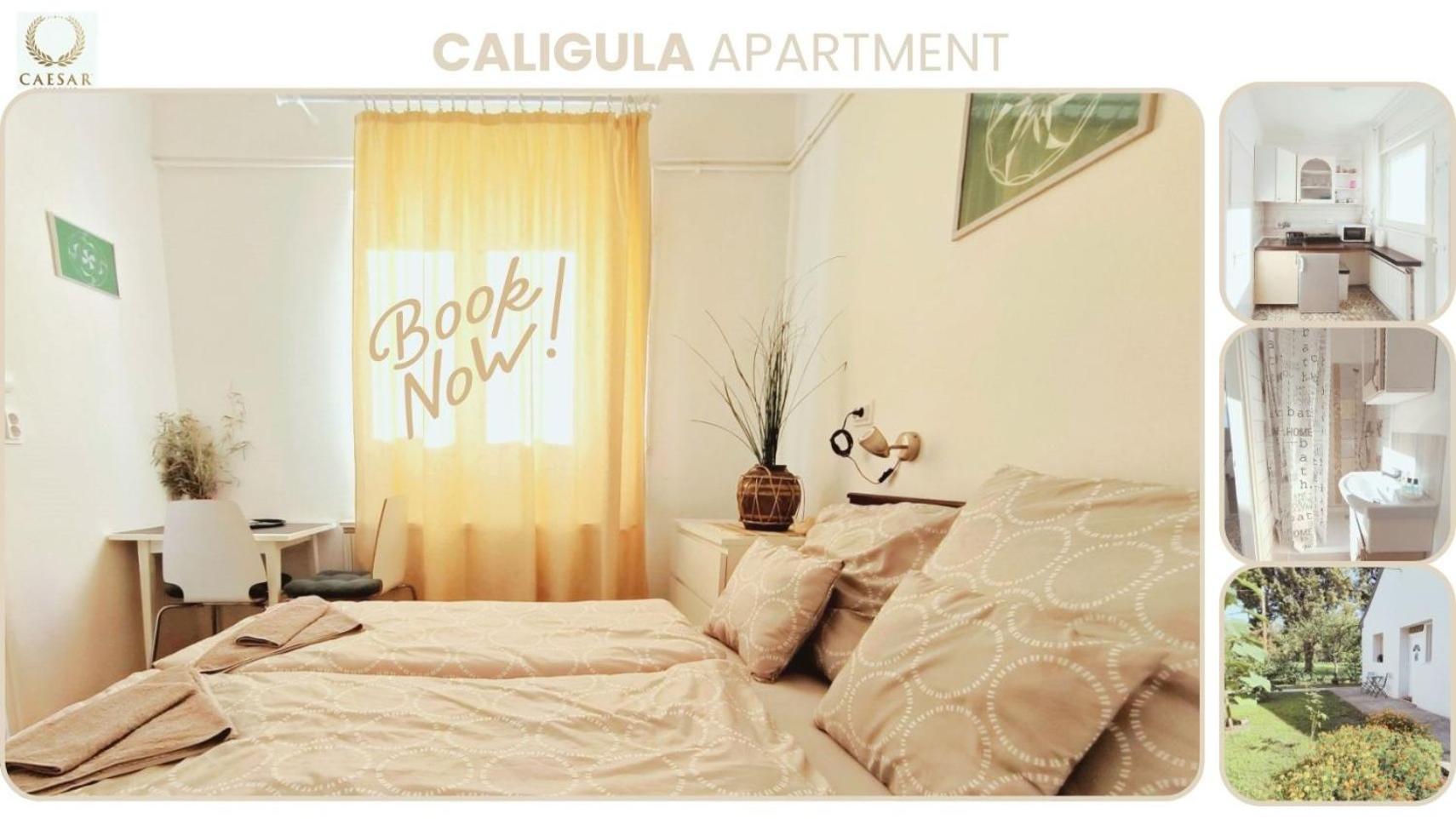 Apartment with Balcony - Photo 14
