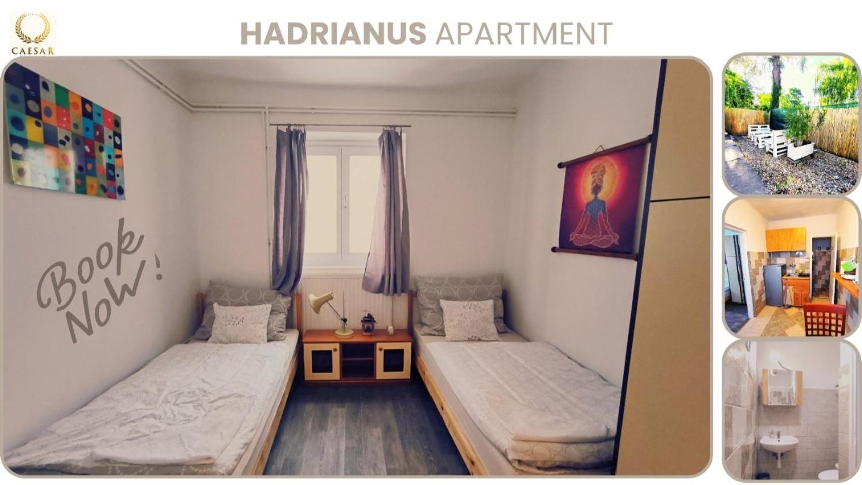 Deluxe Double or Twin Room - Photo 4