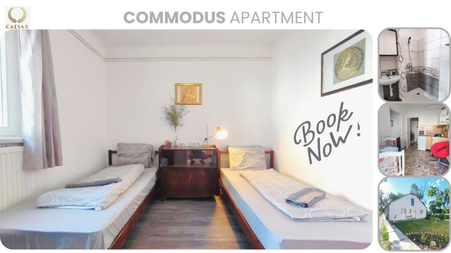 One-Bedroom Apartment with Terrace - Photo 9