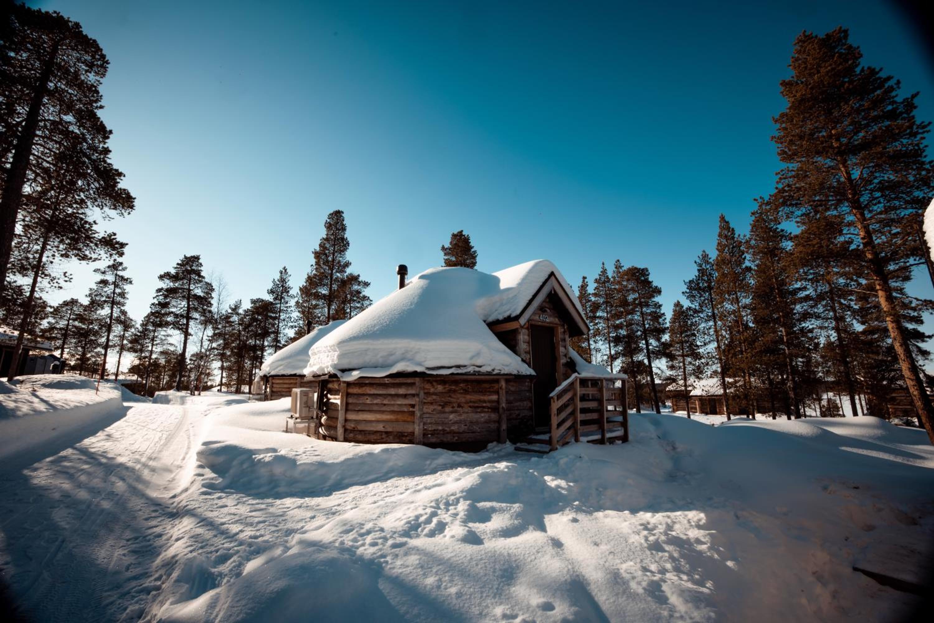 Log Cabin with Glass Ceiling photo 2