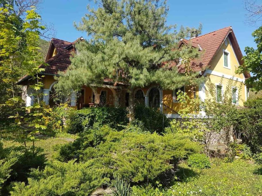 Vacation Home photo 3