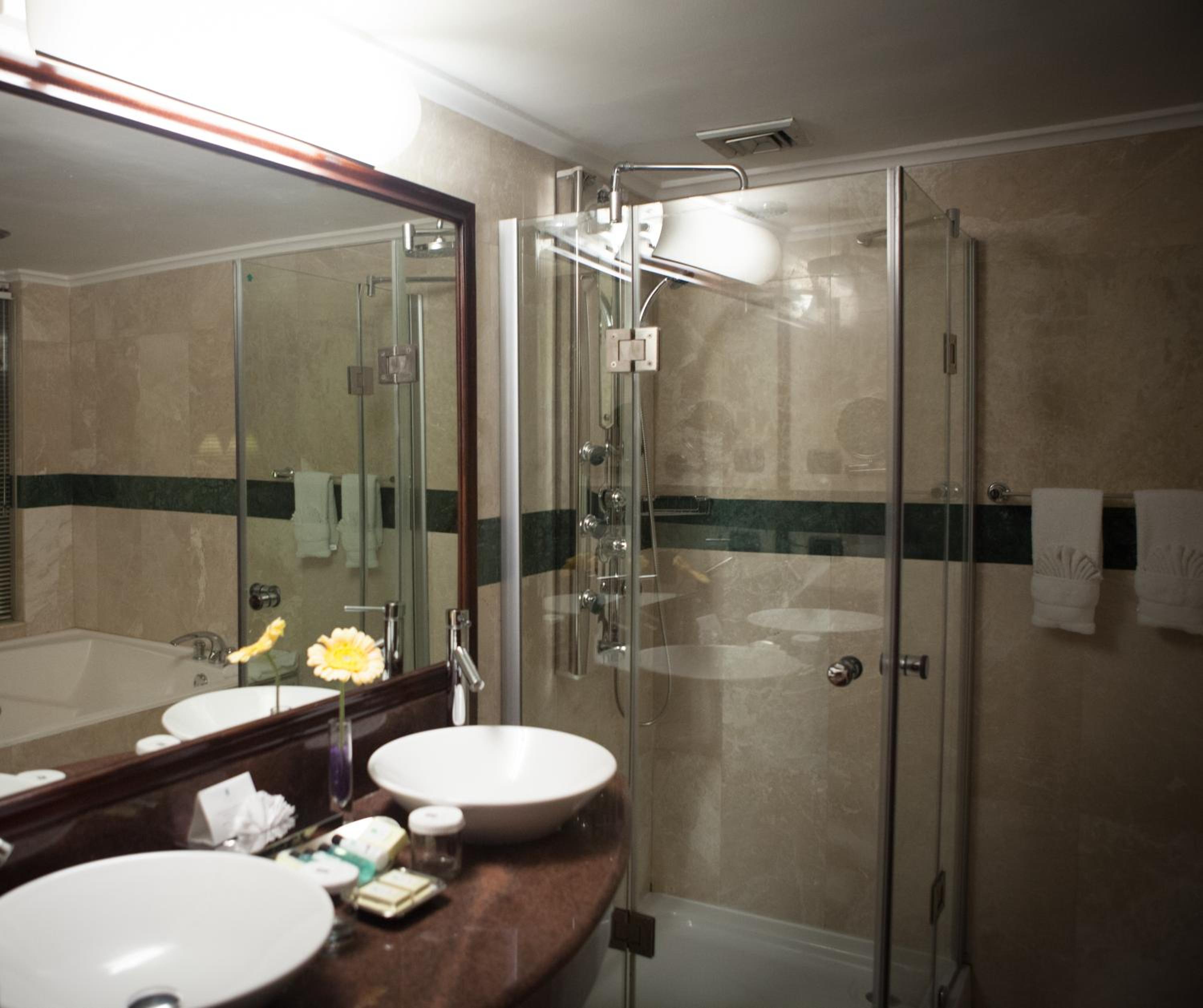 Deluxe Suite photo 3