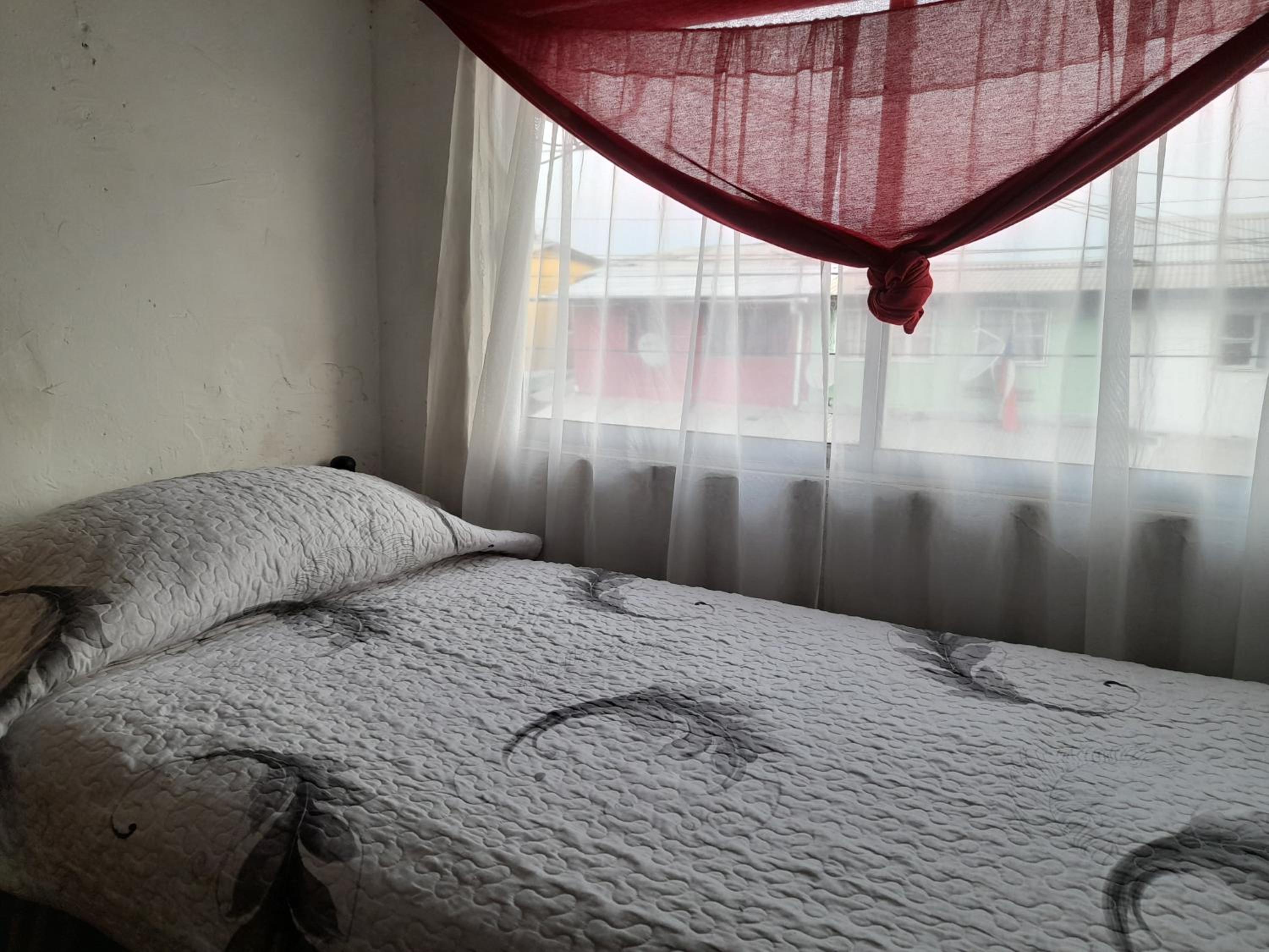 Single Bed In Female Dormitory Room photo 2