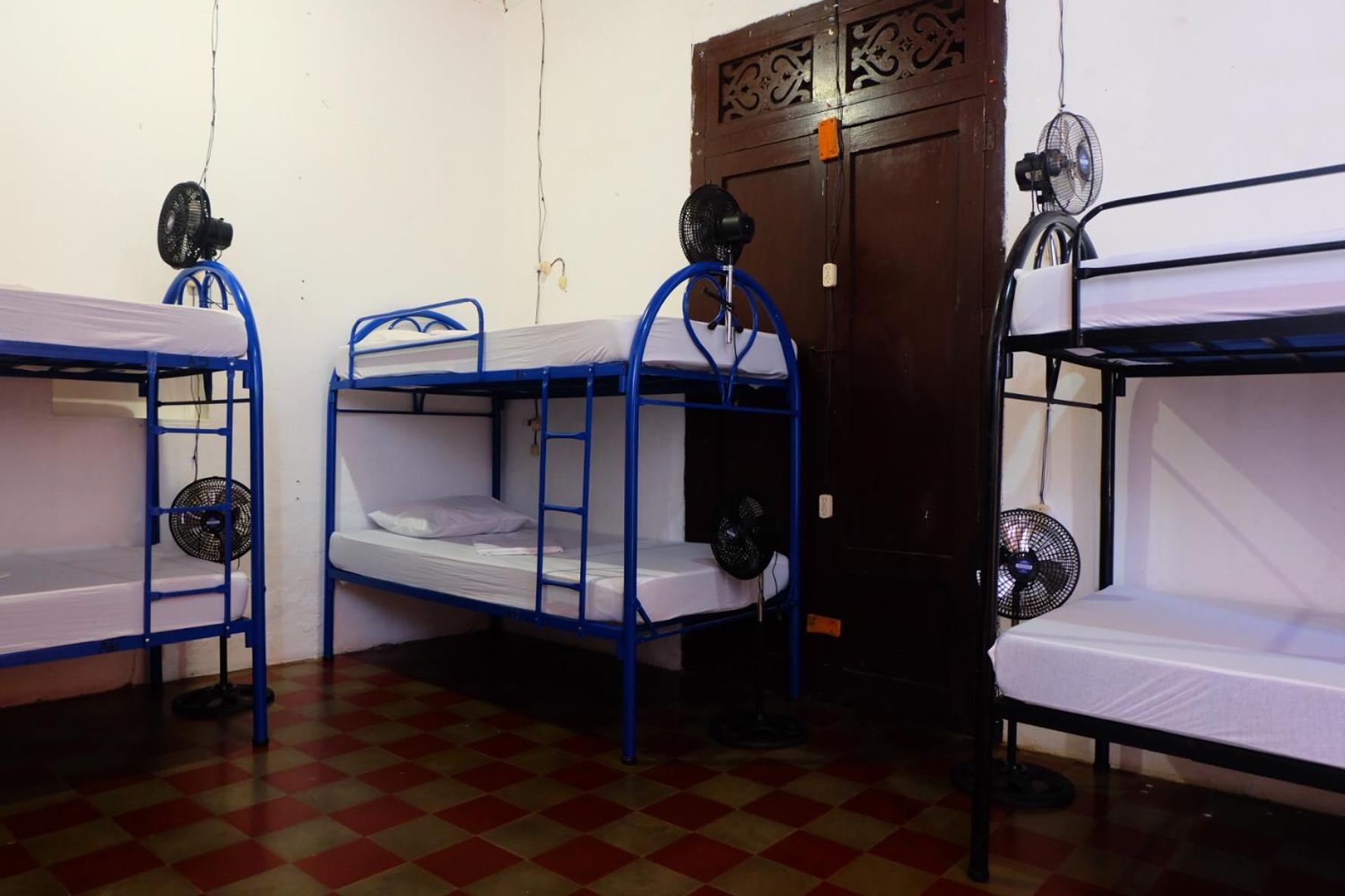 Single Bed in 10-Bed Dormitory Room photo 1