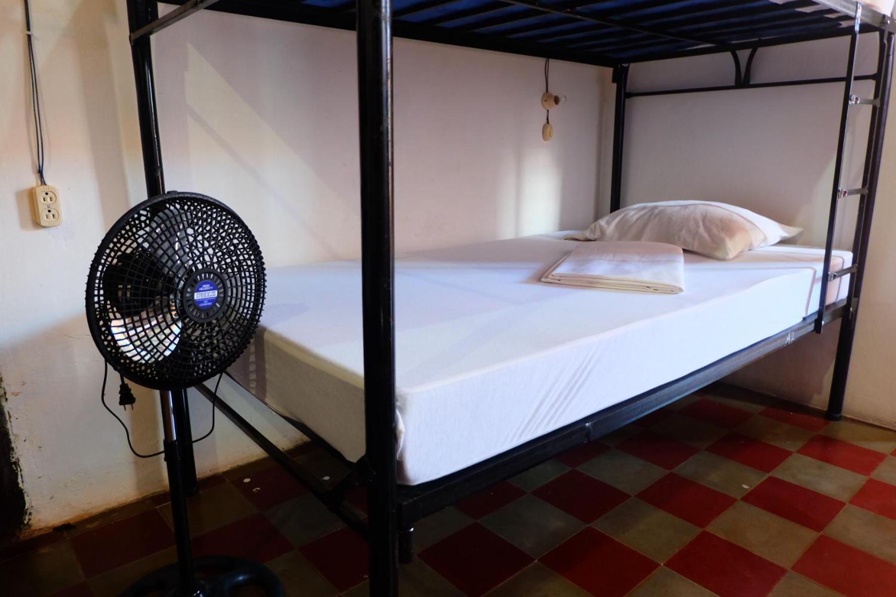 Single Bed in 10-Bed Dormitory Room photo 3
