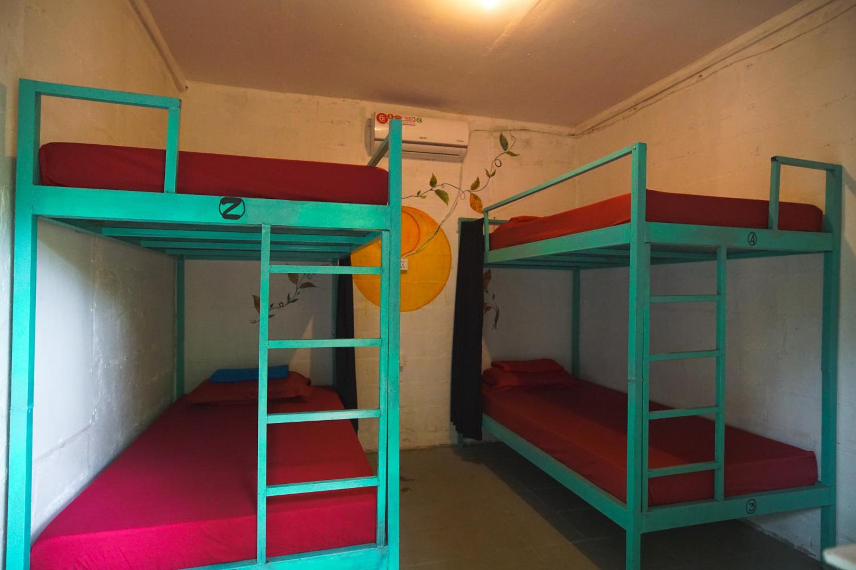 Bed in 4-Bed Mixed Dormitory Room photo 1