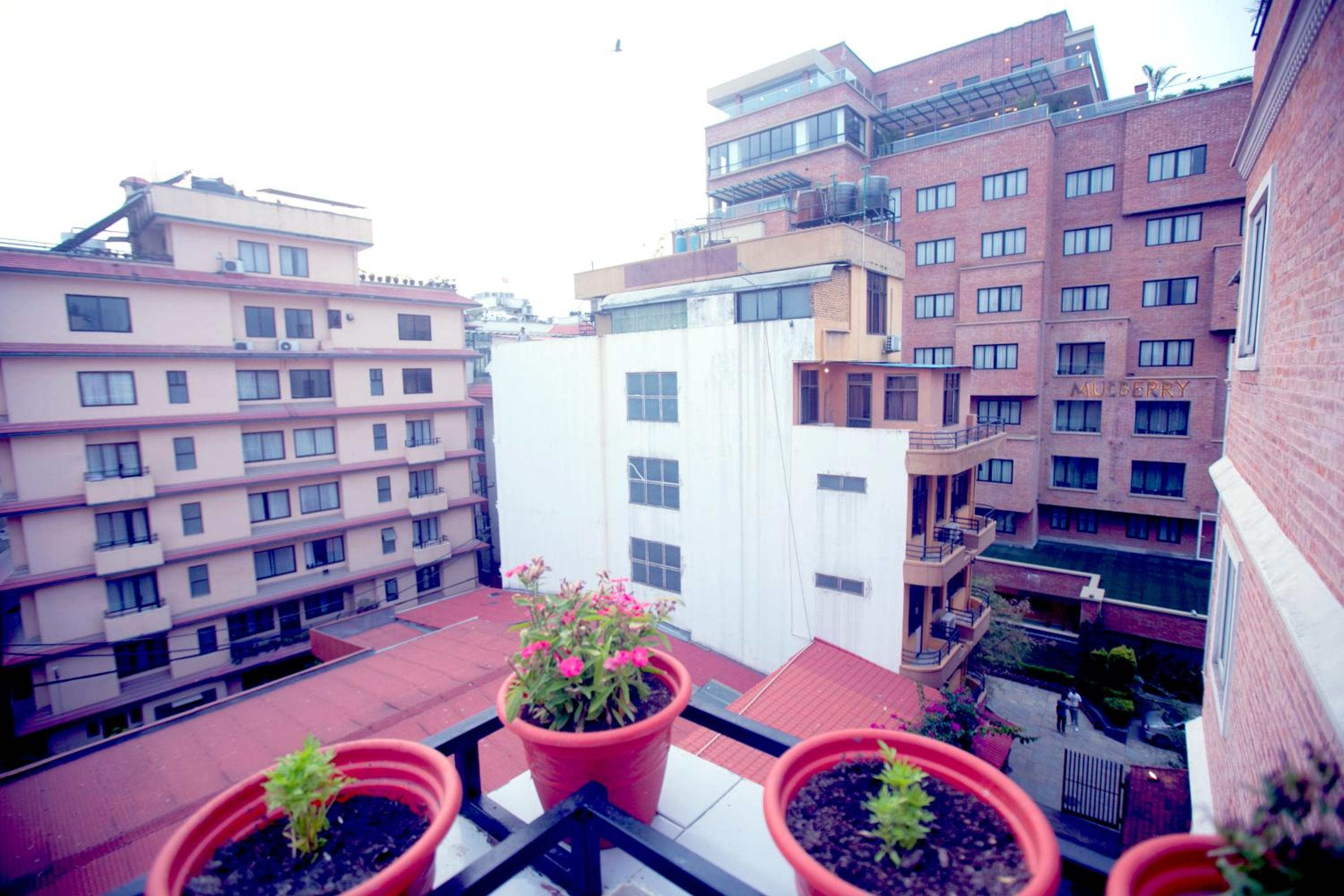 Double Room with Balcony photo 3