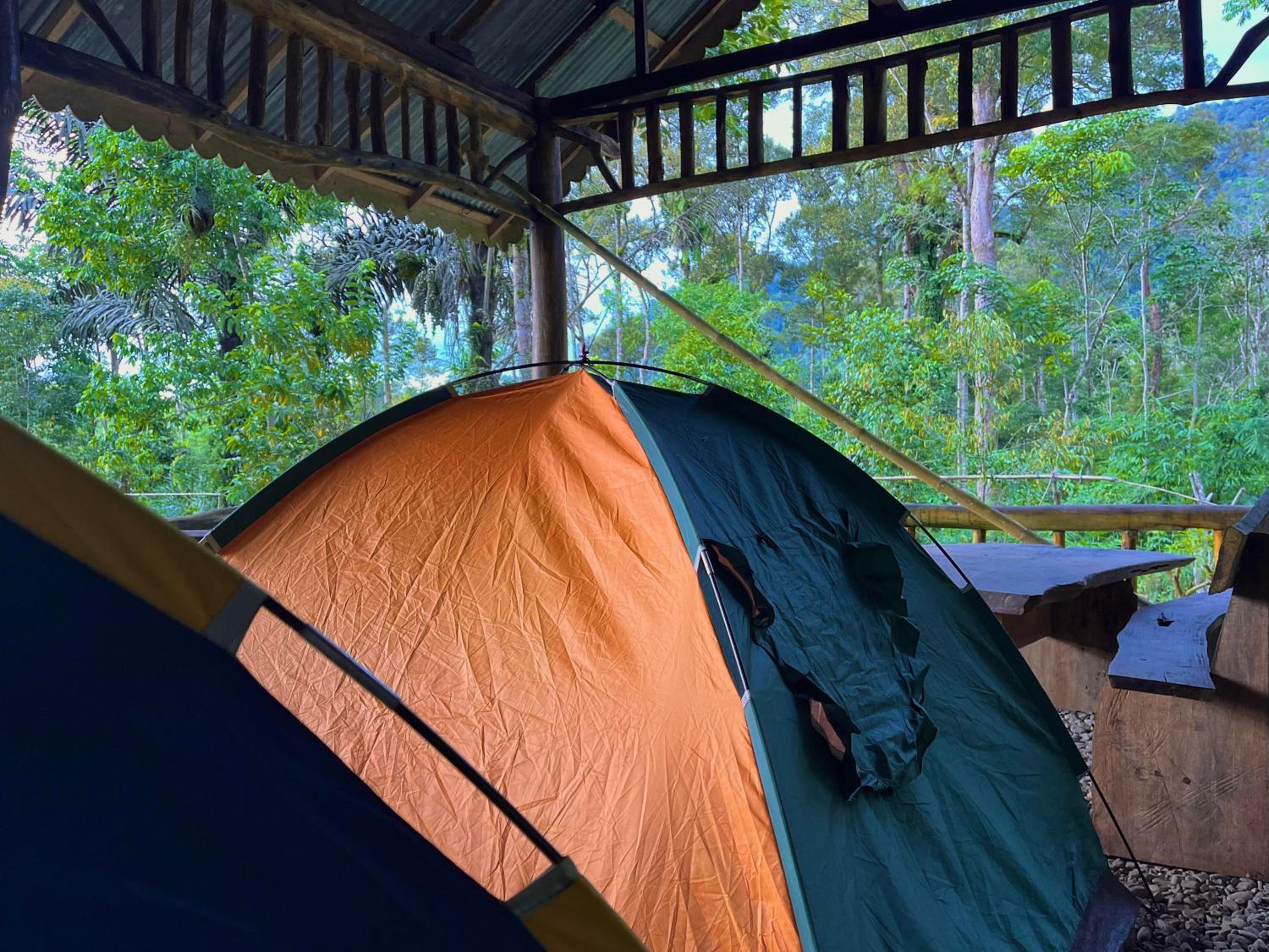 Tent photo 1