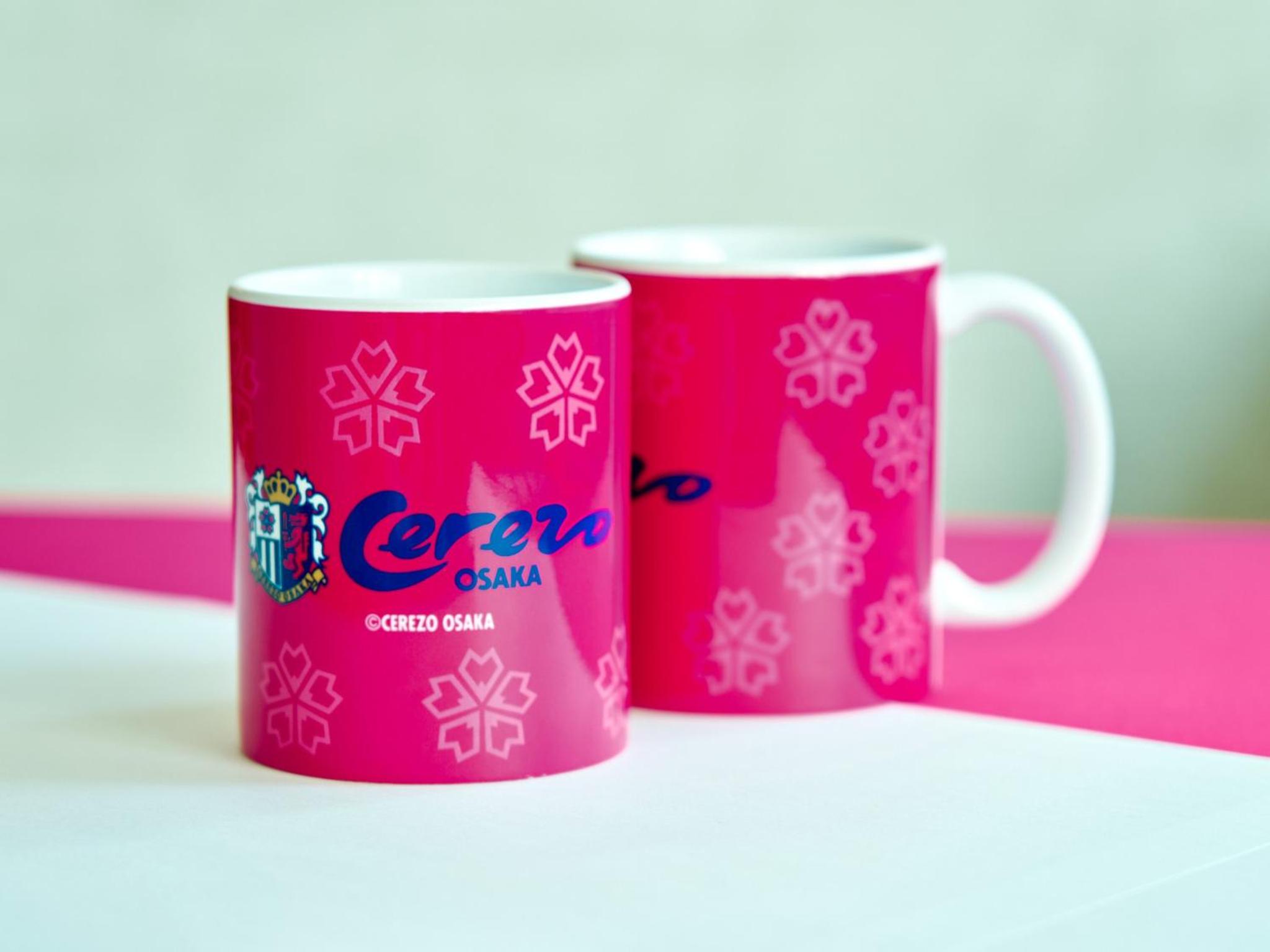 Soccer Team “Cerezo Osaka” Room, photo 7