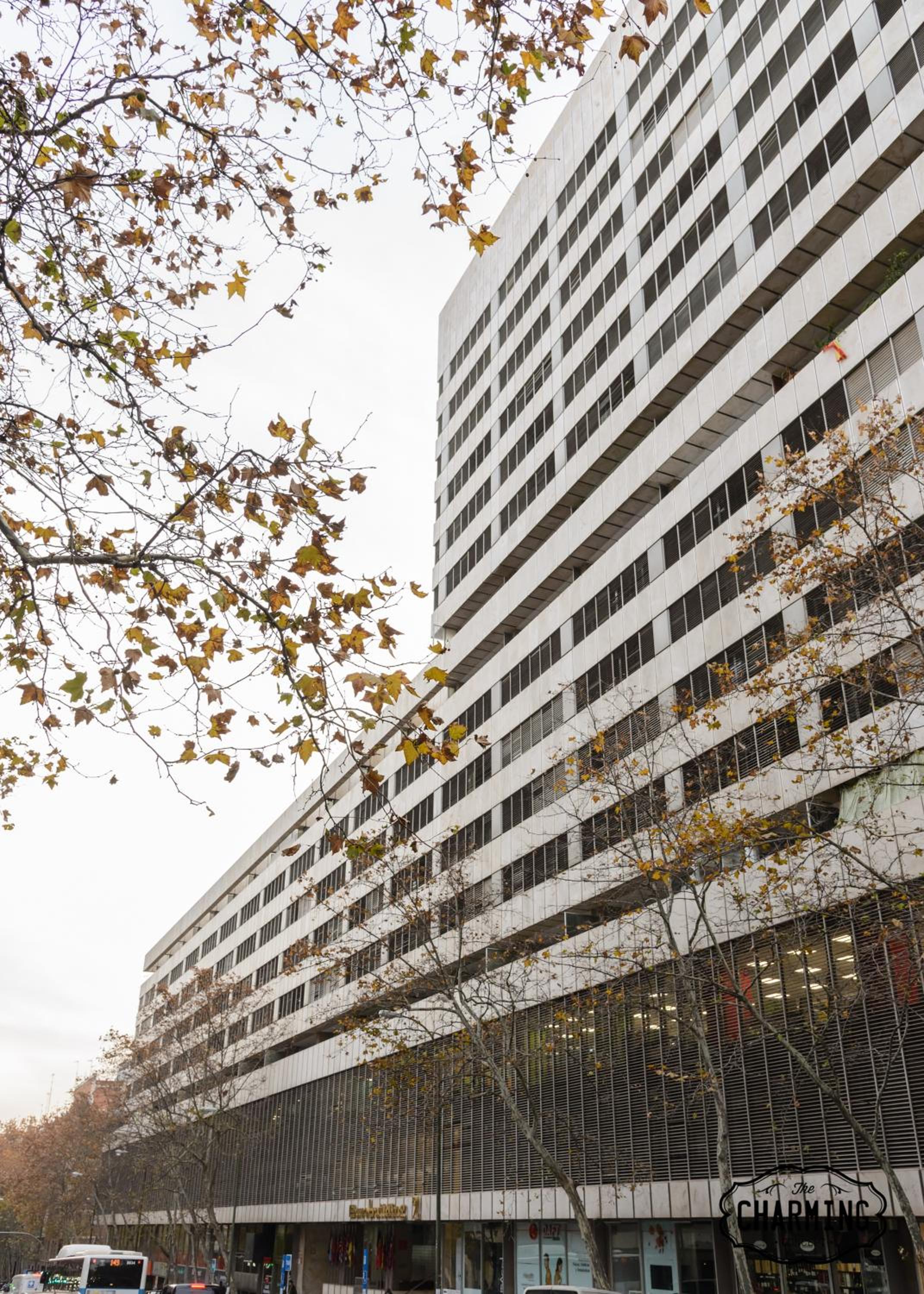 Superior Apartment thumbnail 5