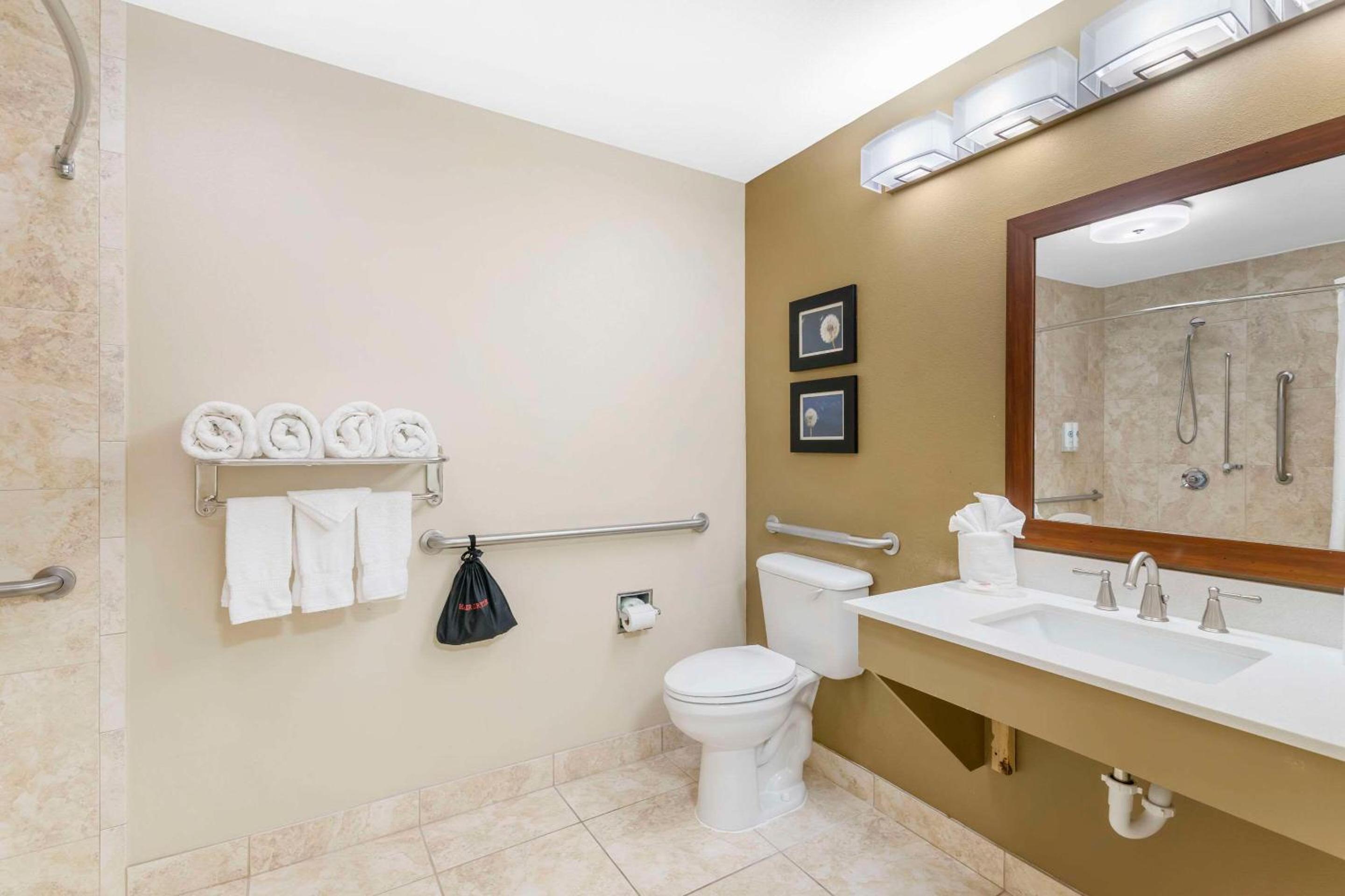 Comfort Inn & Suites Tifton, Foto 10