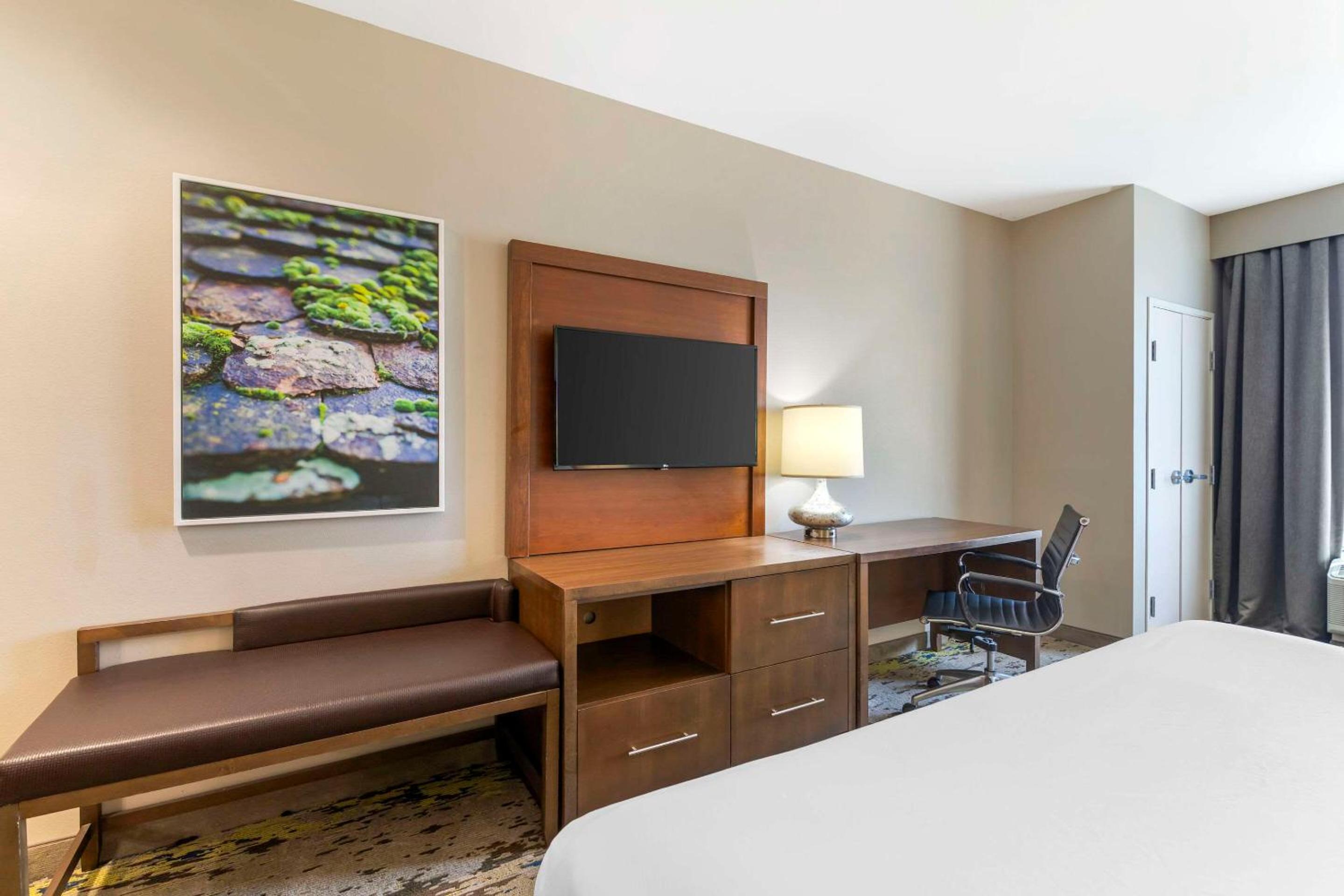 King Room - Non-Smoking photo 3