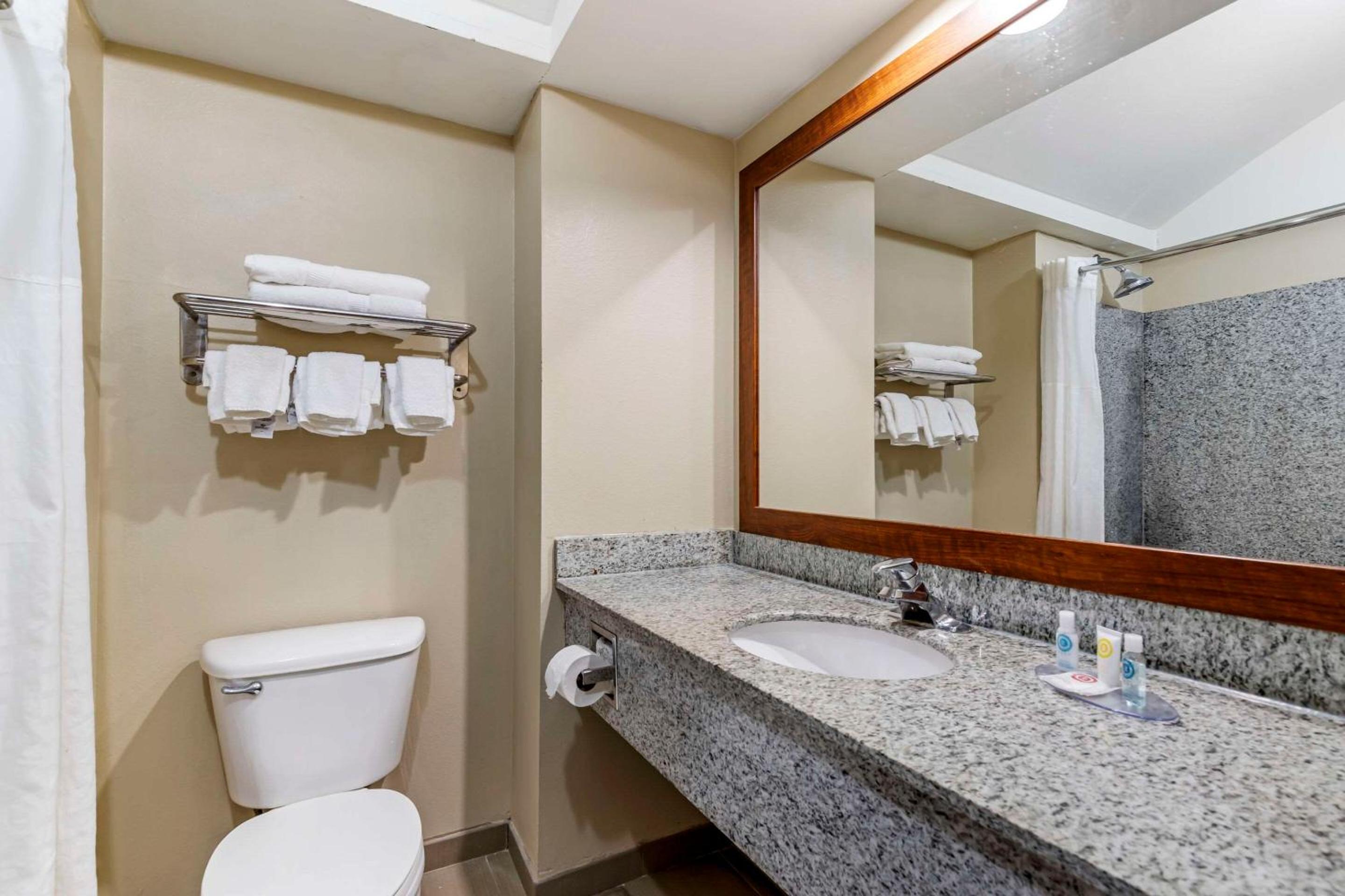 King Suite - Non-Smoking - Photo 4