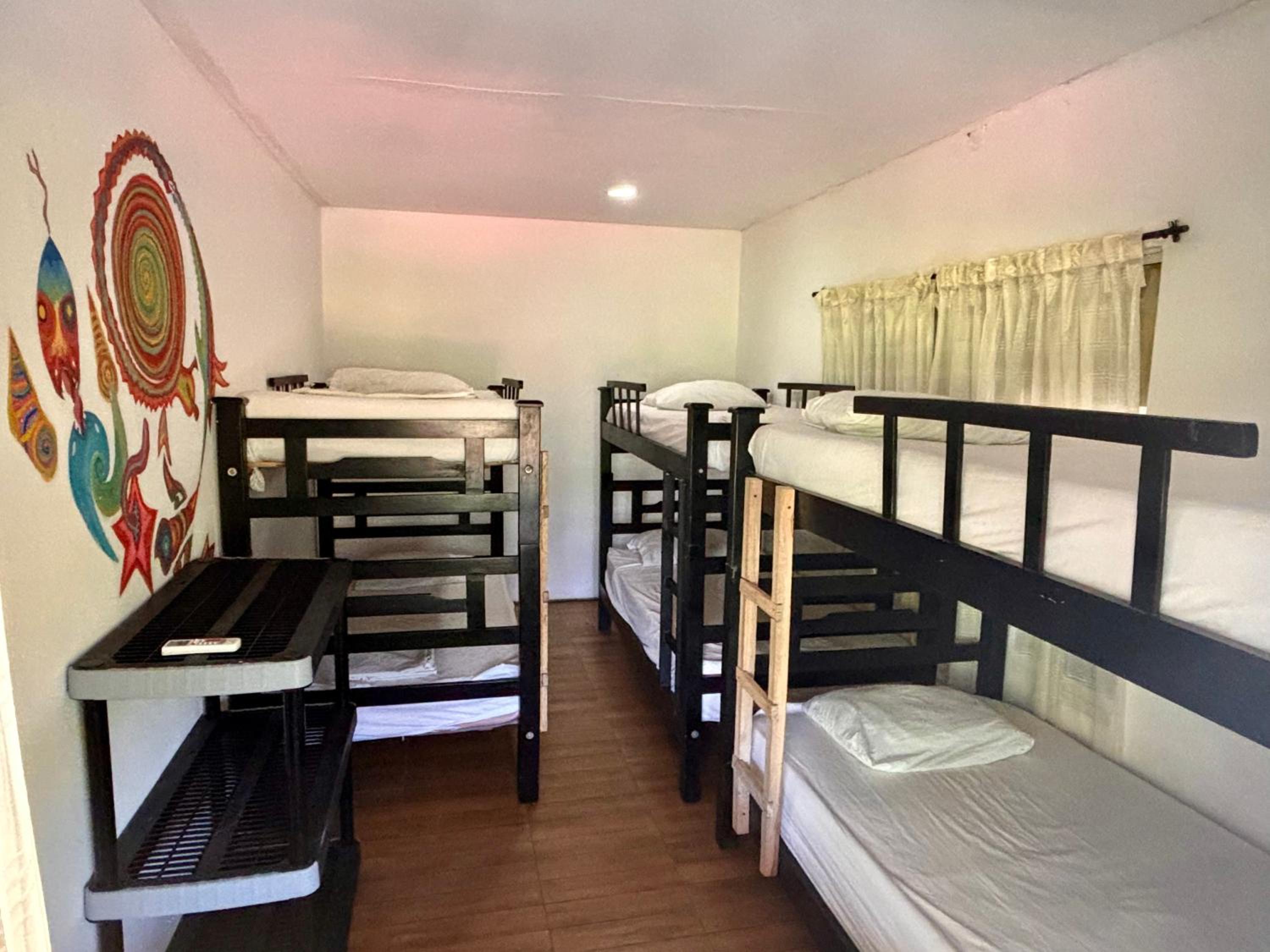 6-Bed Mixed Dormitory Room photo 1