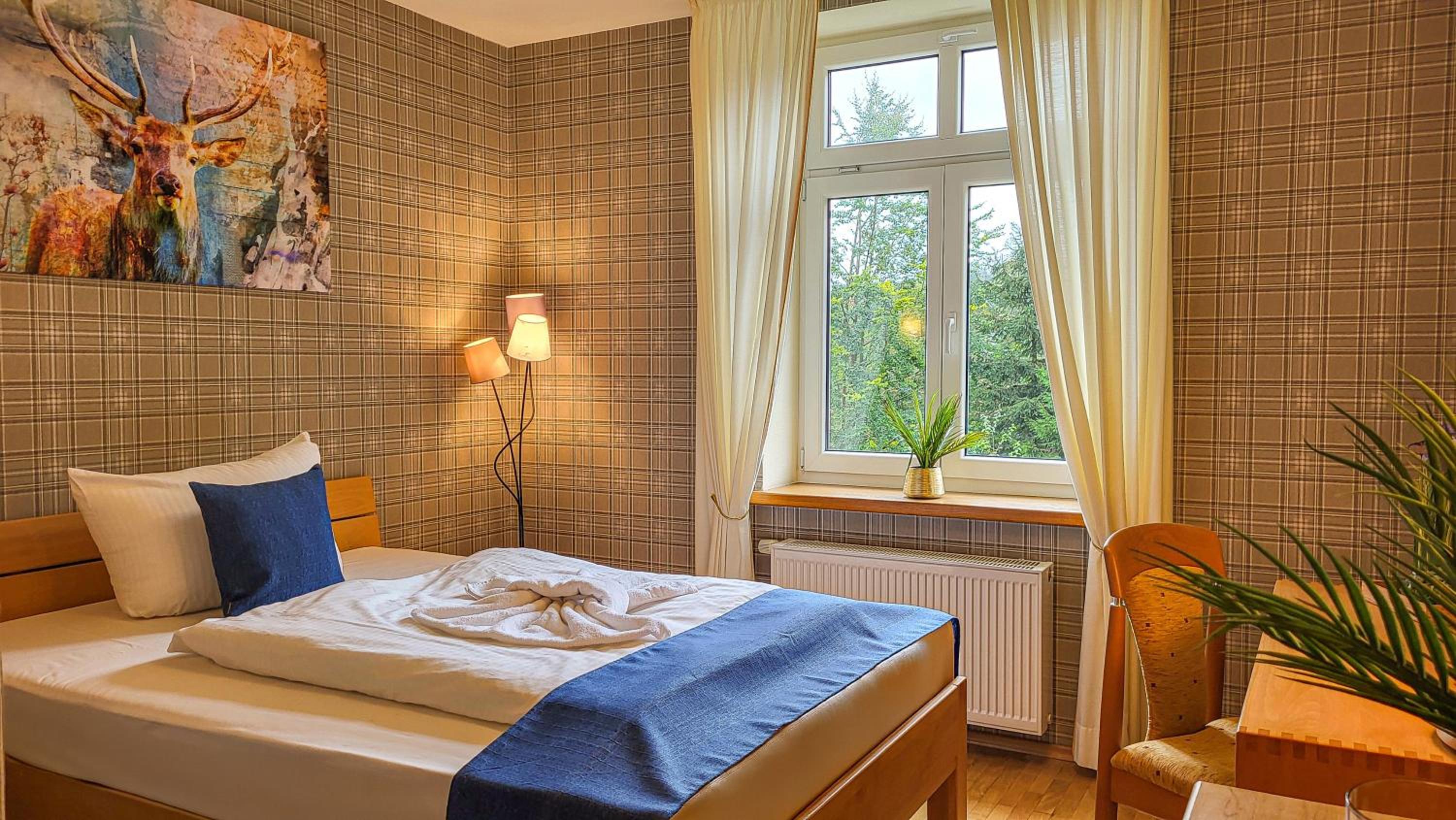 Single Room photo 2