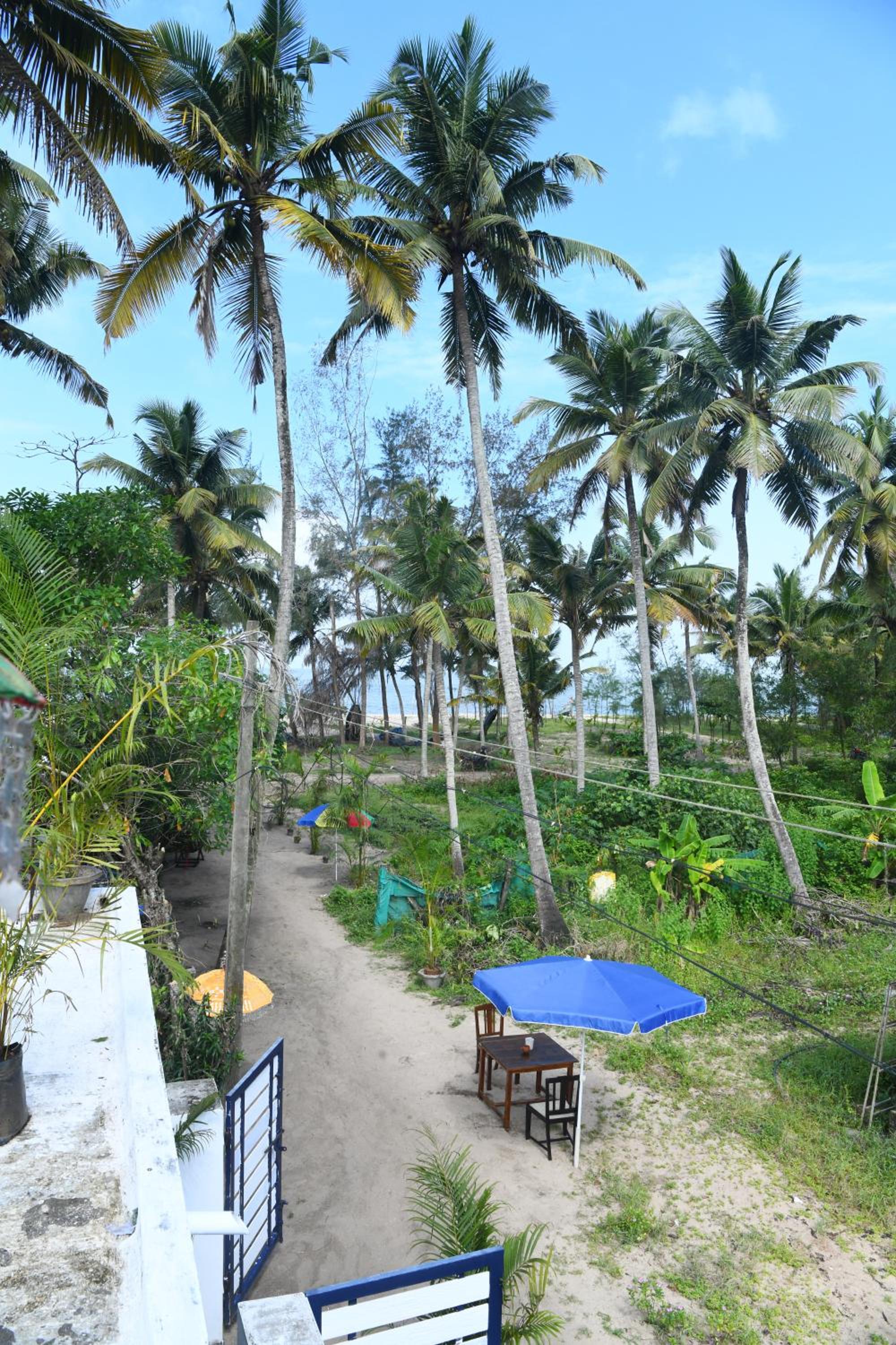 Twin Room with Sea View photo 3