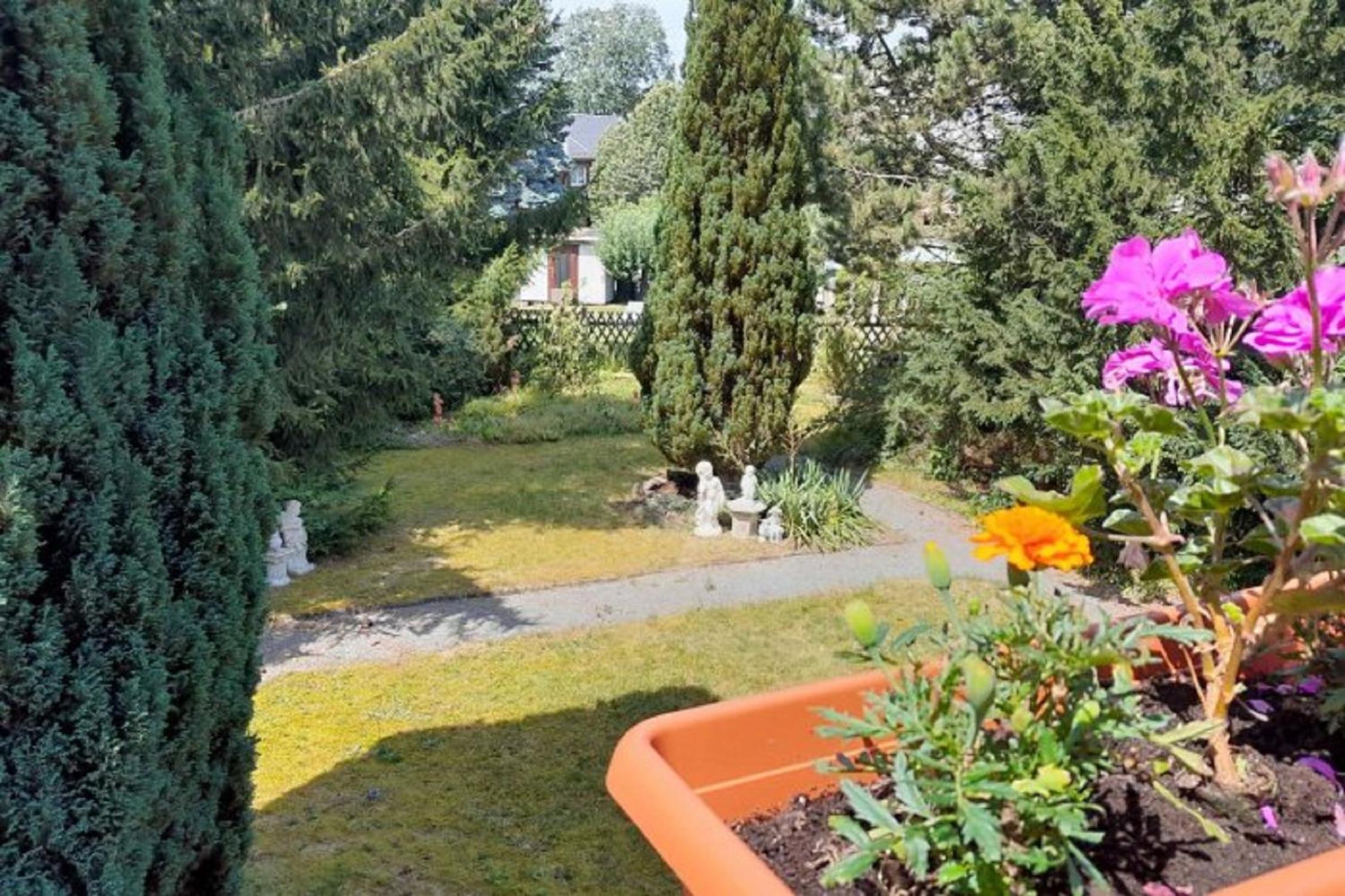 Apartment with Garden View photo 3