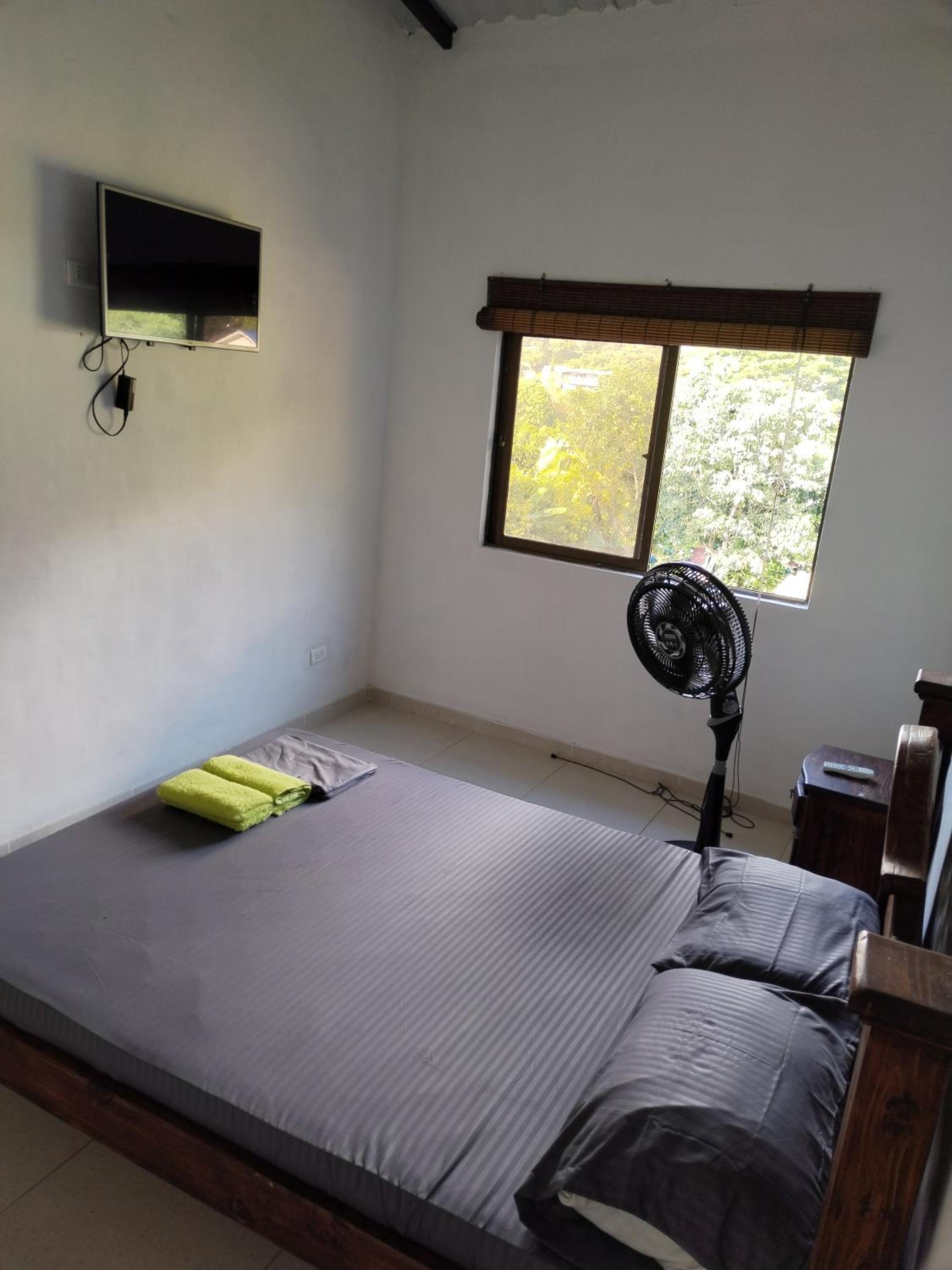 Double Room photo 1