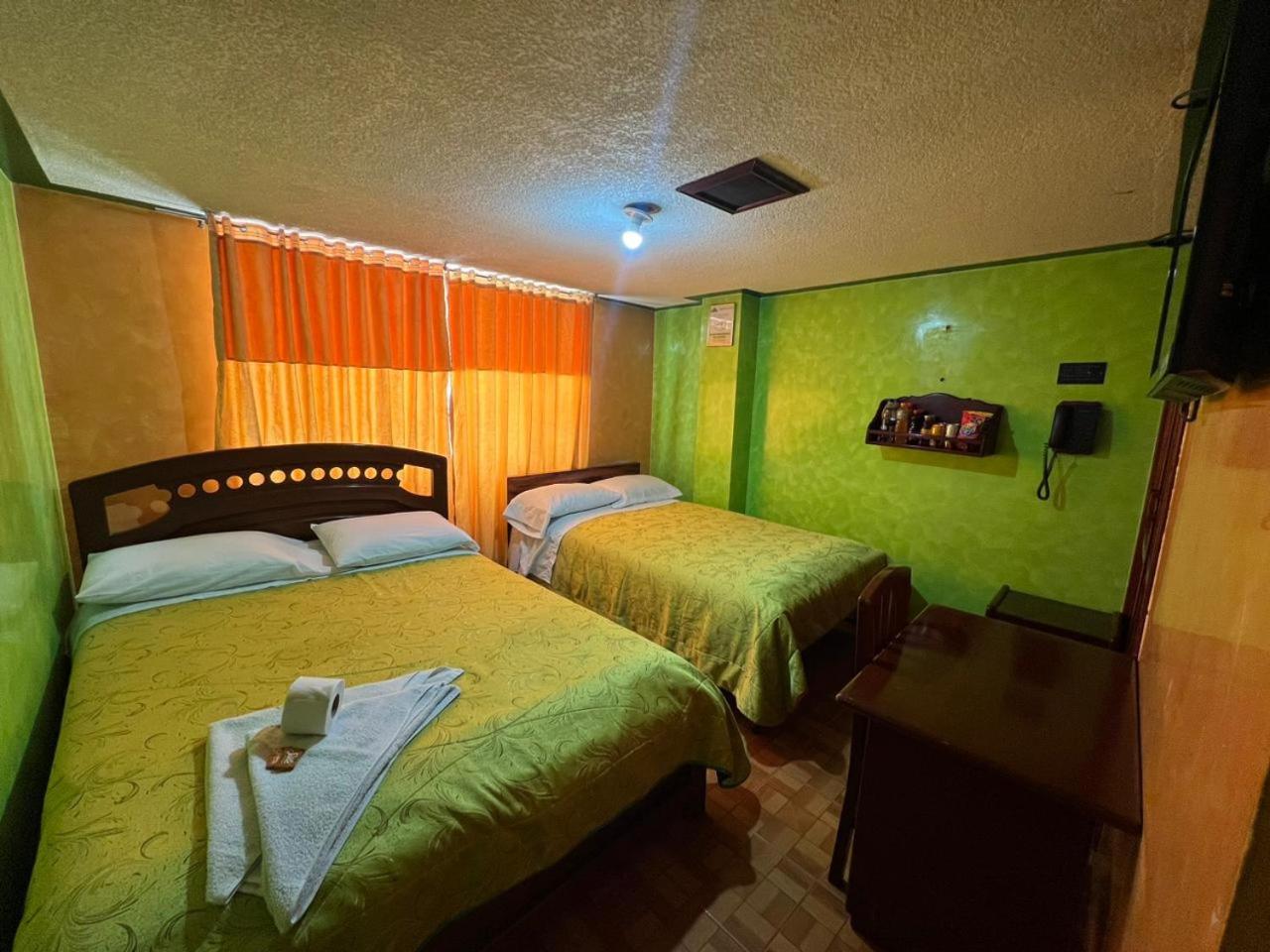 Twin Room photo 3