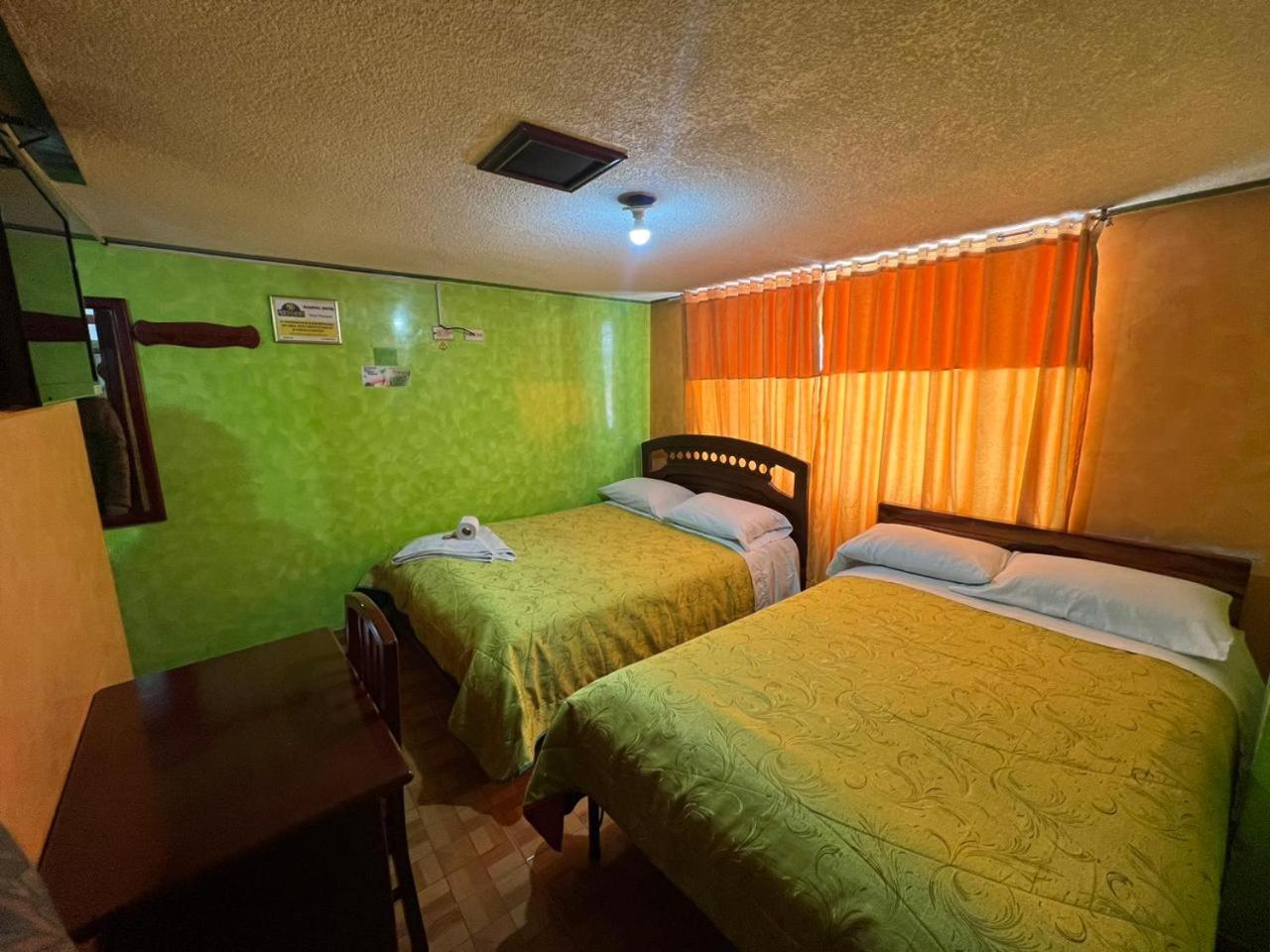 Twin Room photo 1
